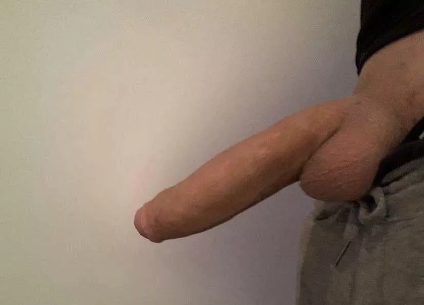 Anyone want to help me with my friend here 🤪 (m)