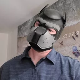 Anypup have the balls to wear their pup hood for Halloween?