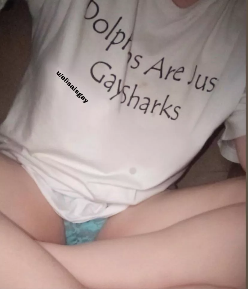 are dolphins just gay sharks?