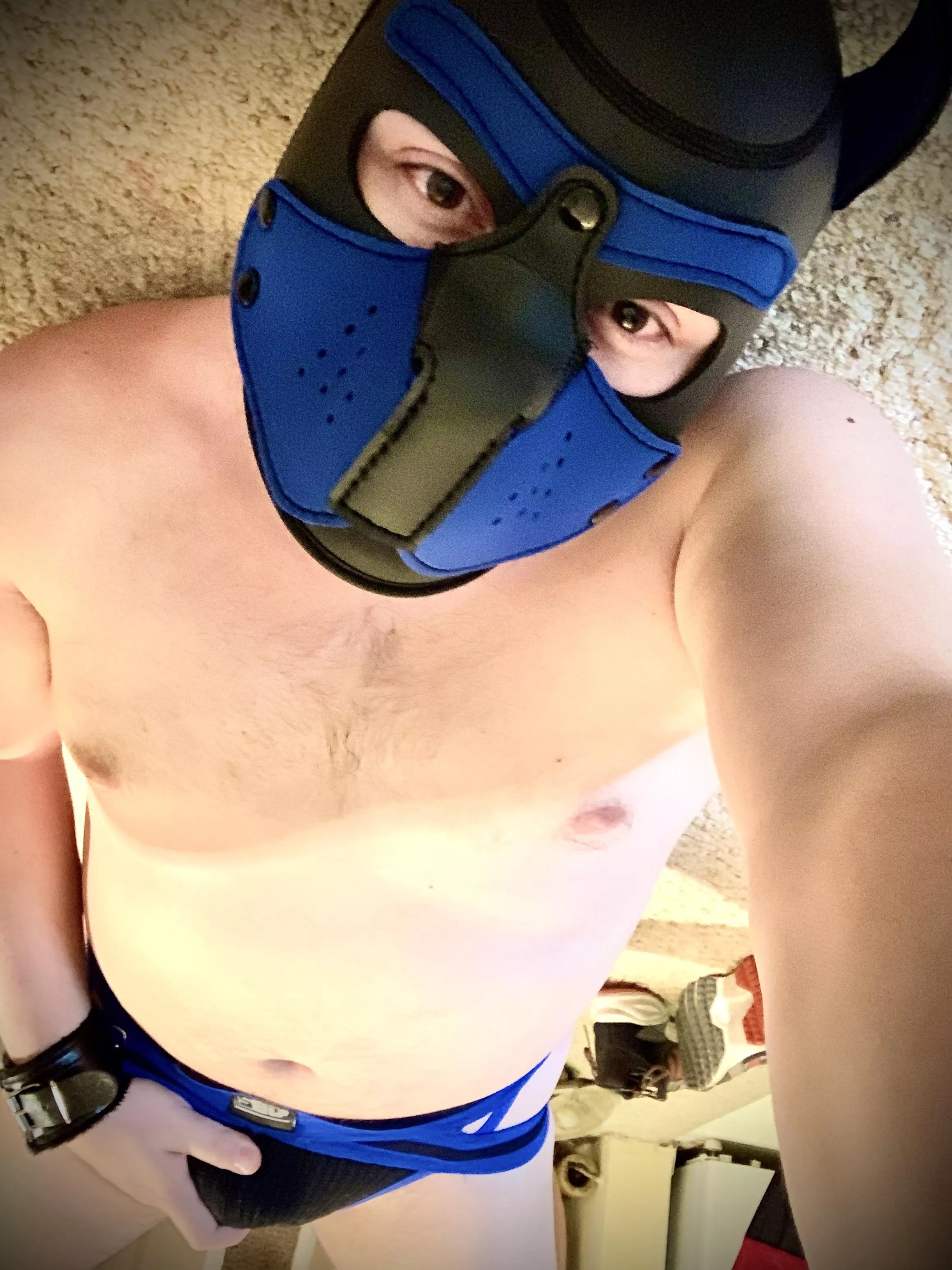 Arf! This is what happens when pups are left alone. Spontaneous photo shoots and horniness.