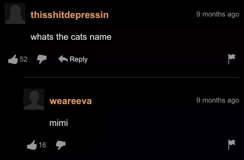 At least we know the catâ€™s name