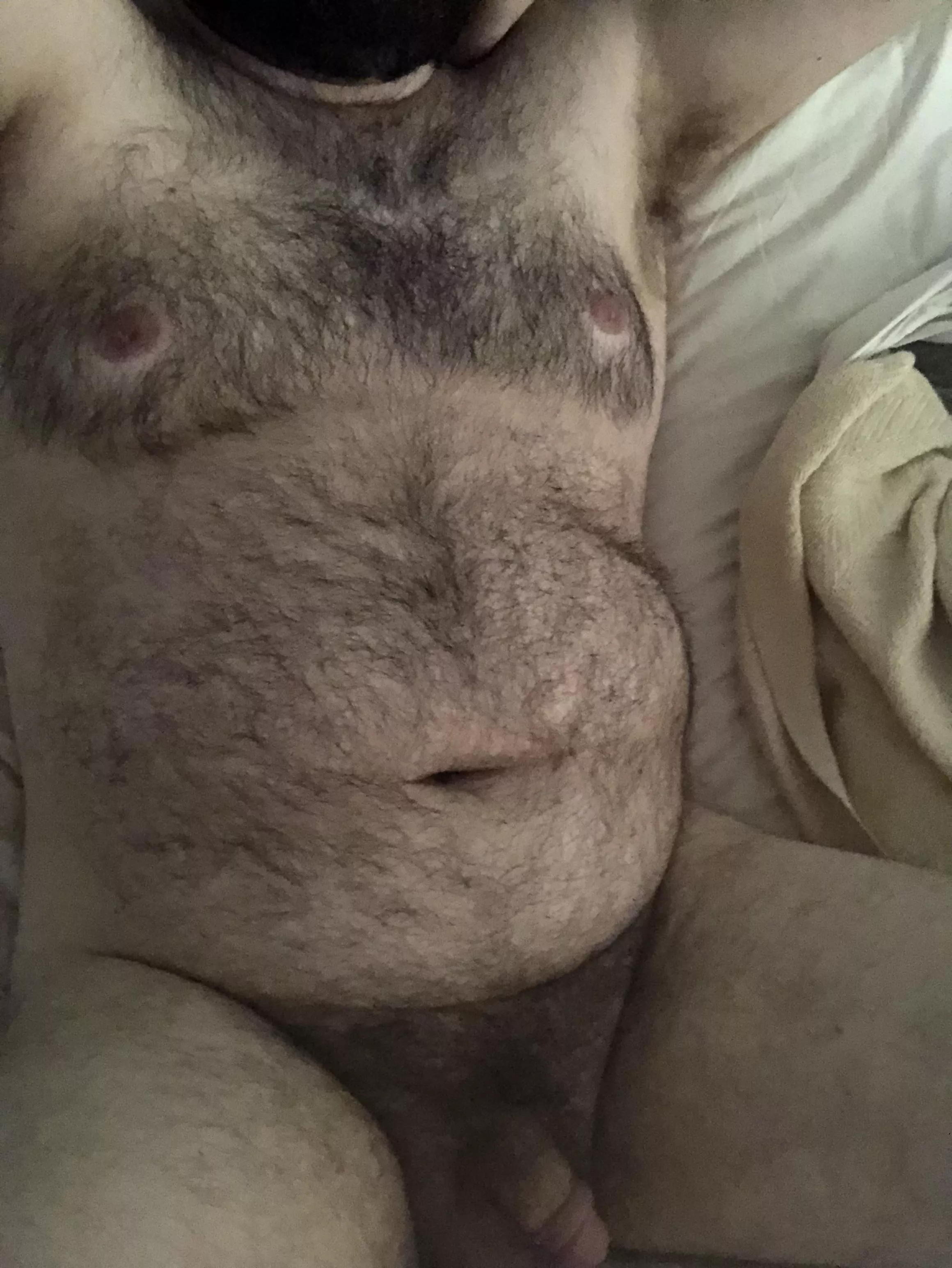 Bear cuddles, anyone?