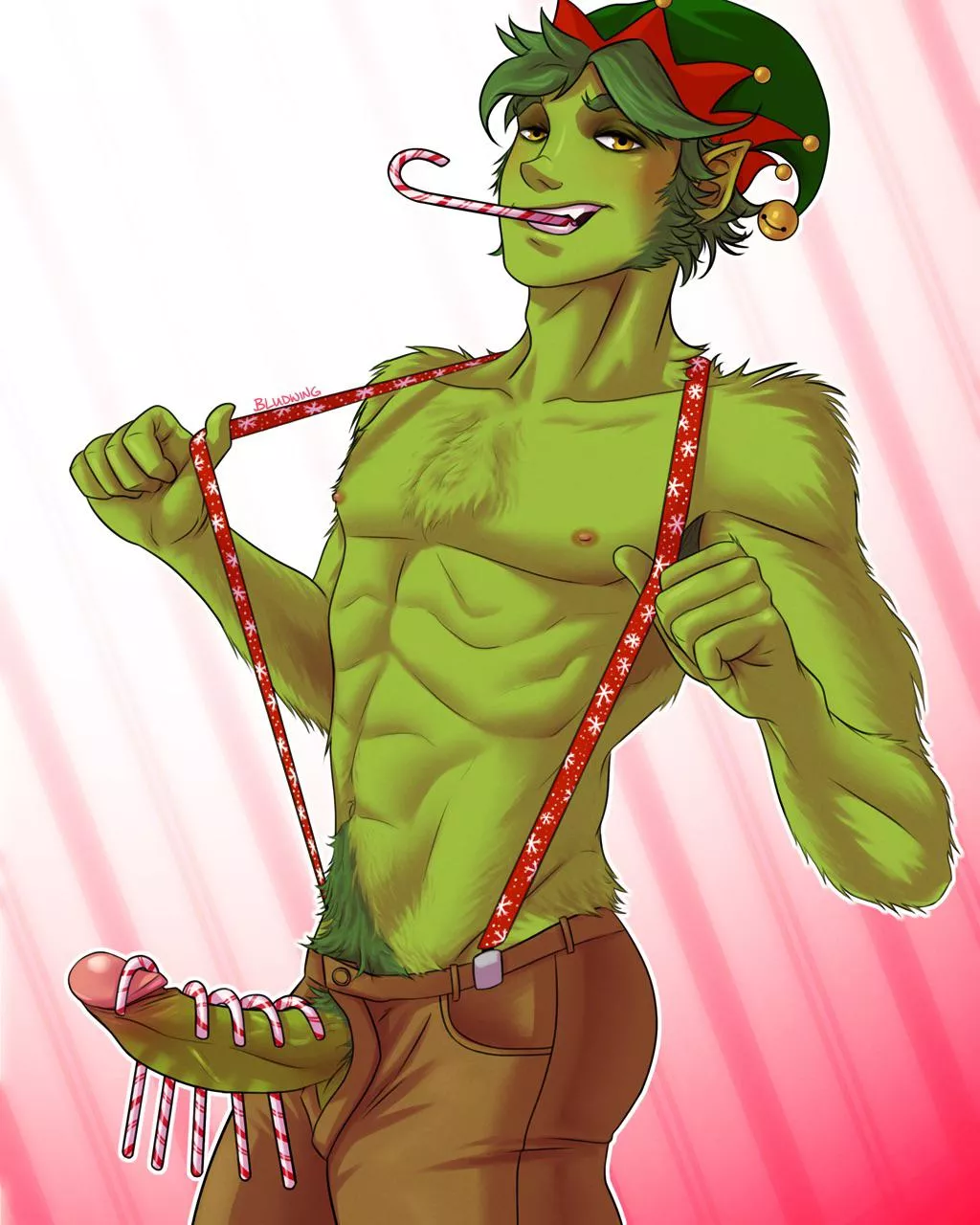 Beast Boy loves Christmas (Bludwing)