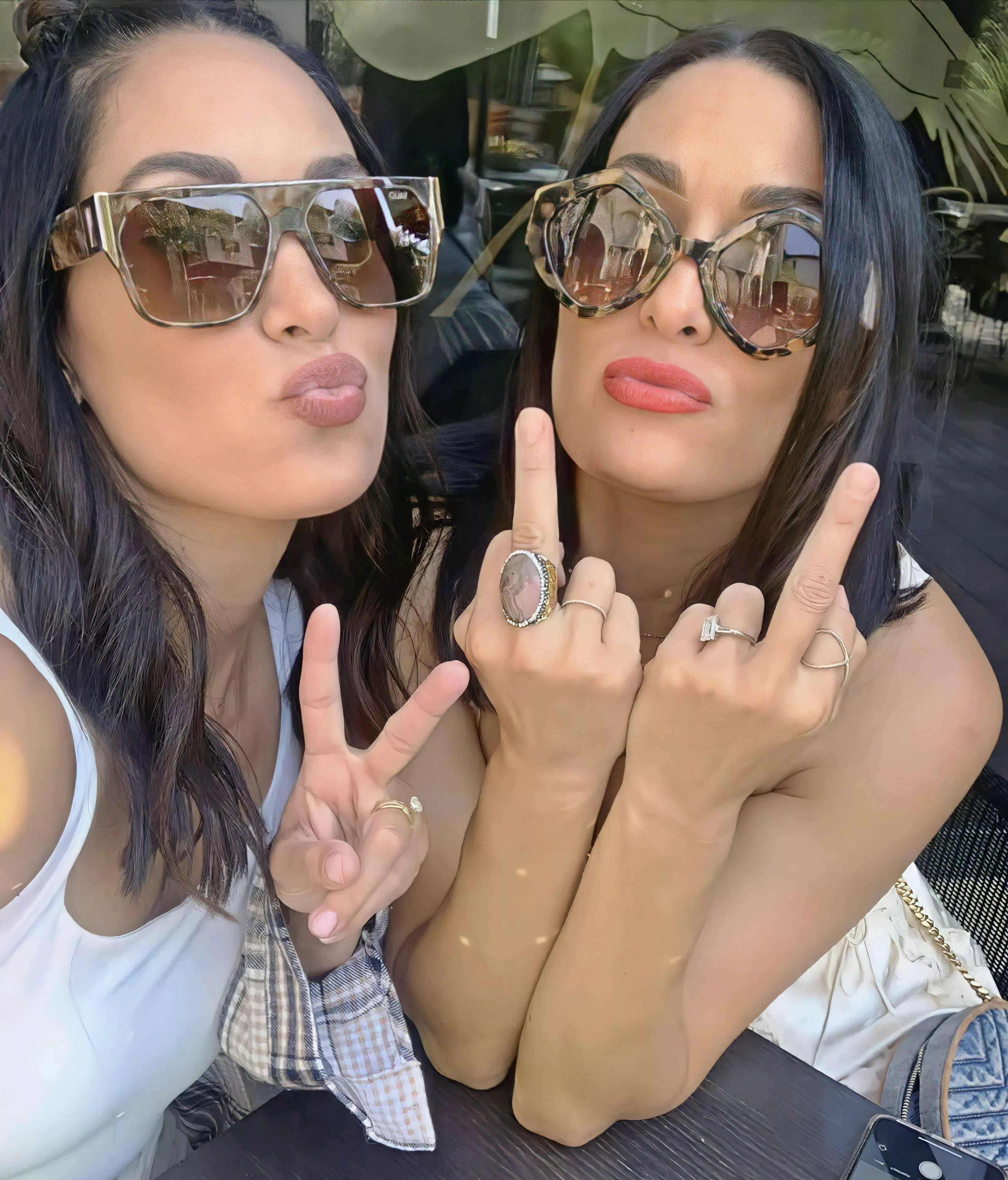 Bella Twins