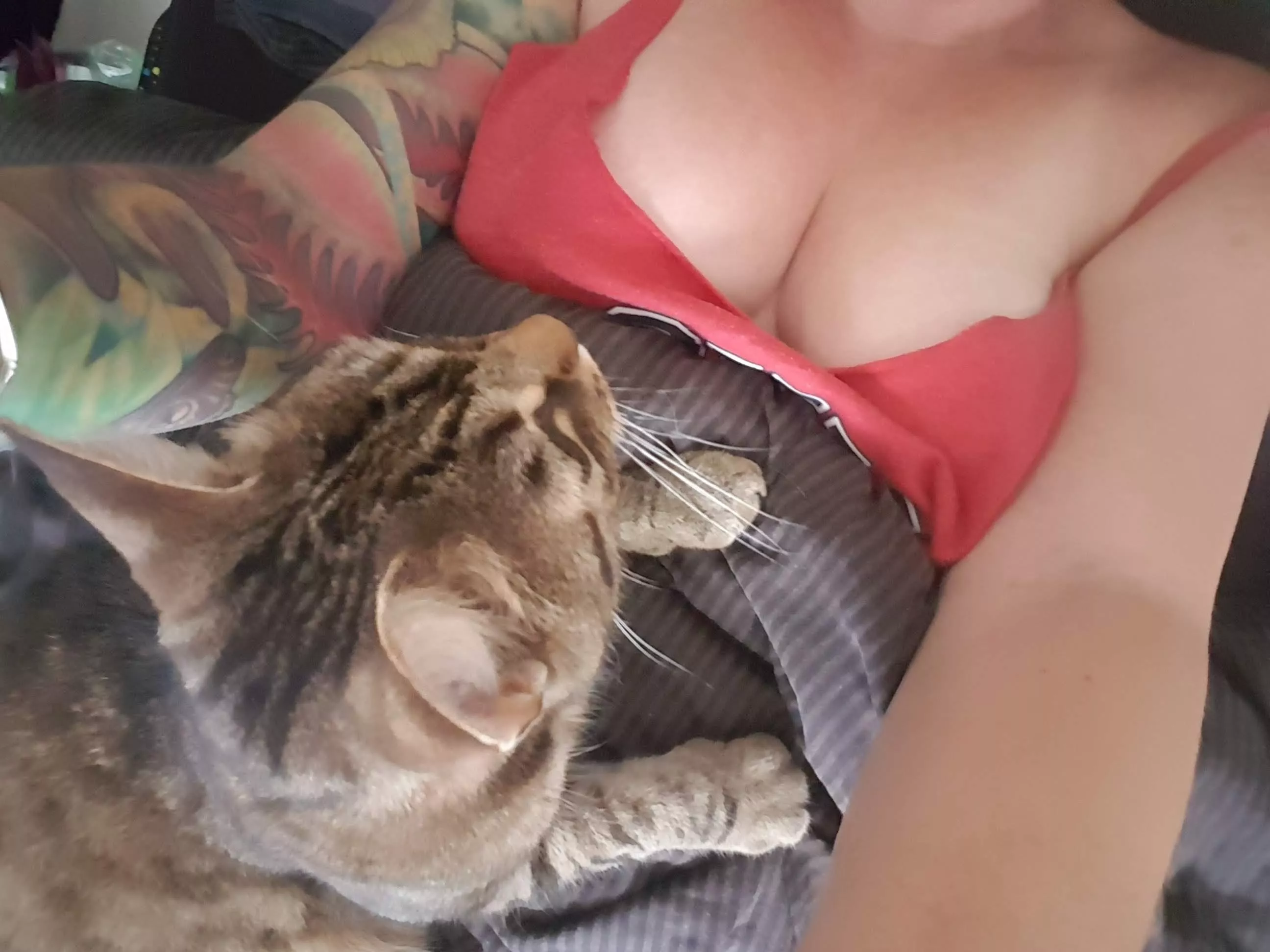 Benji and boobies.