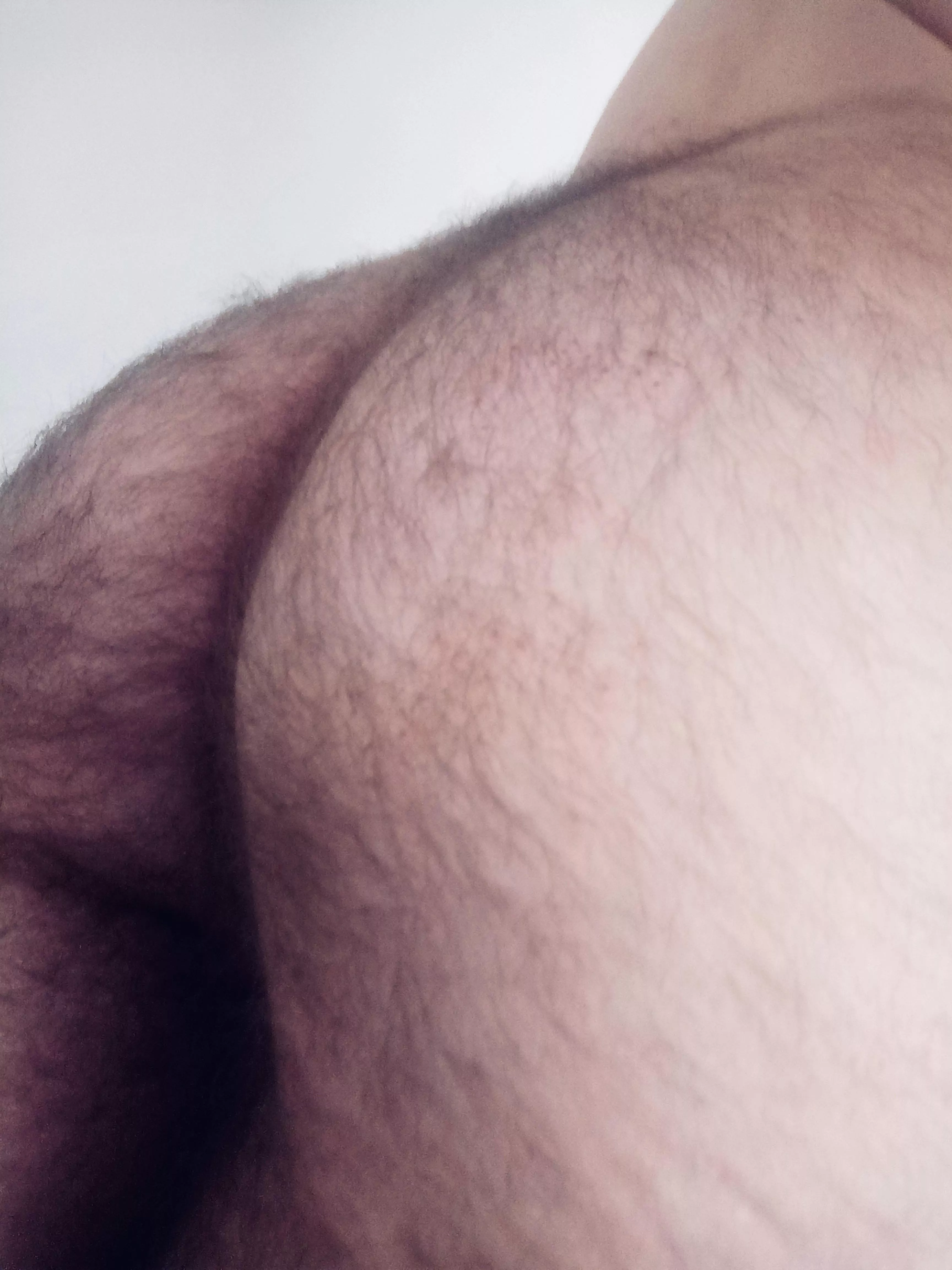 Bi Aussie, hairy enough for ya?