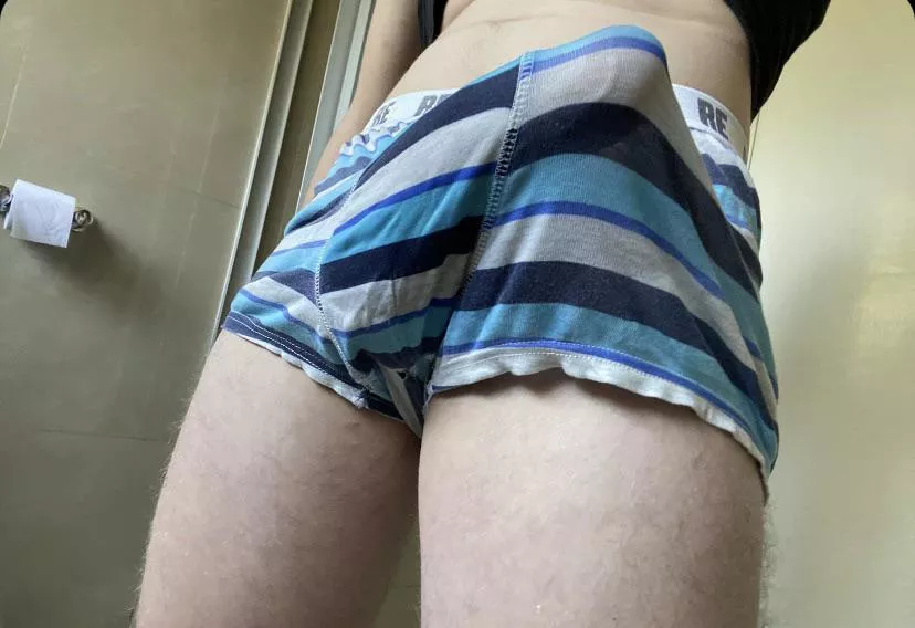 Bi bulge