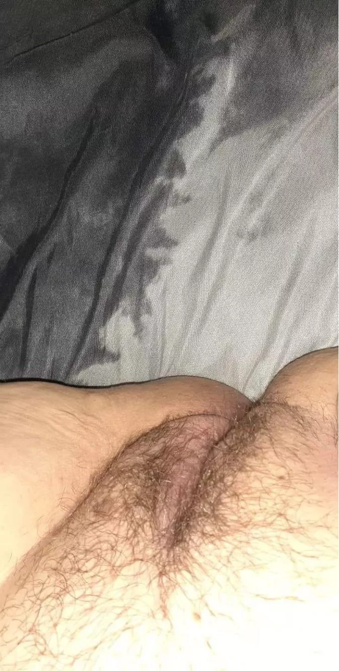 Big hairy