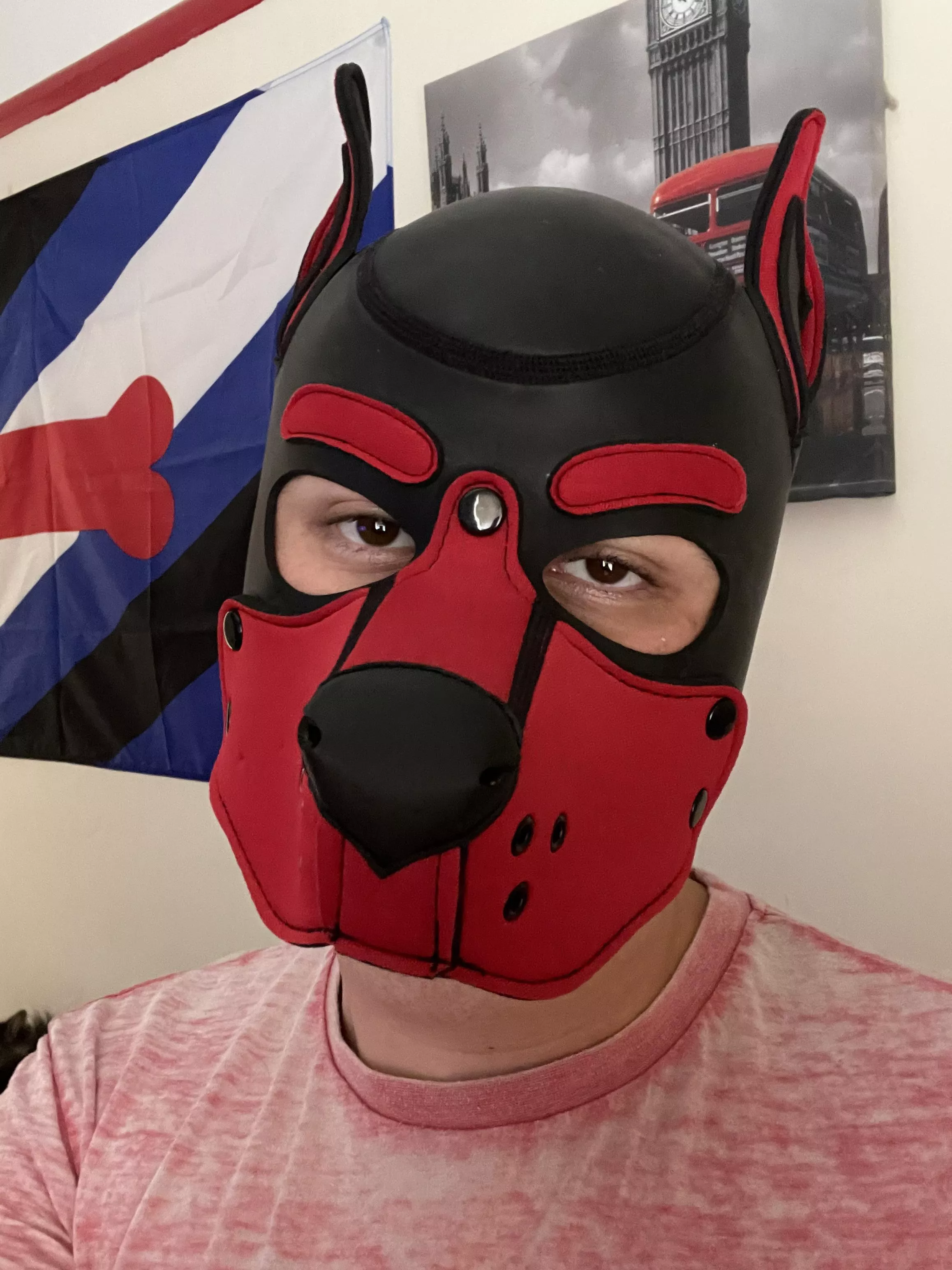 Bork ❤️ Rocket Here, 21, Gay, DL 🍼, UK 🇬🇧