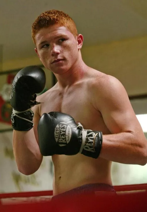 Boxing Ginger