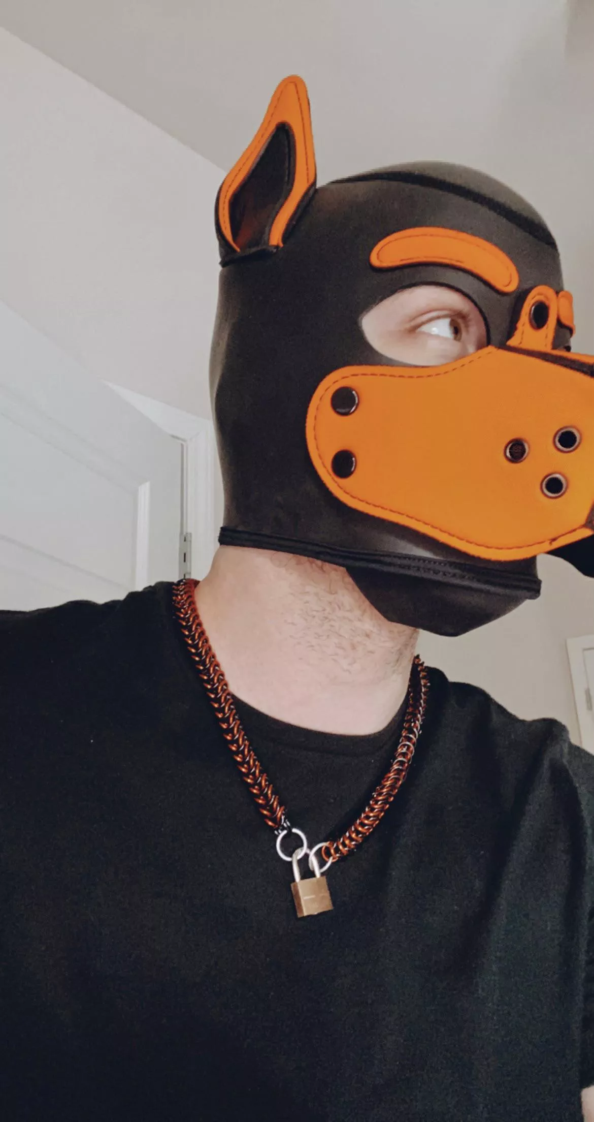 Boyfriend asked a local puppy friend to make me a daily collar, and I haven’t taken it off since he first put it on me.