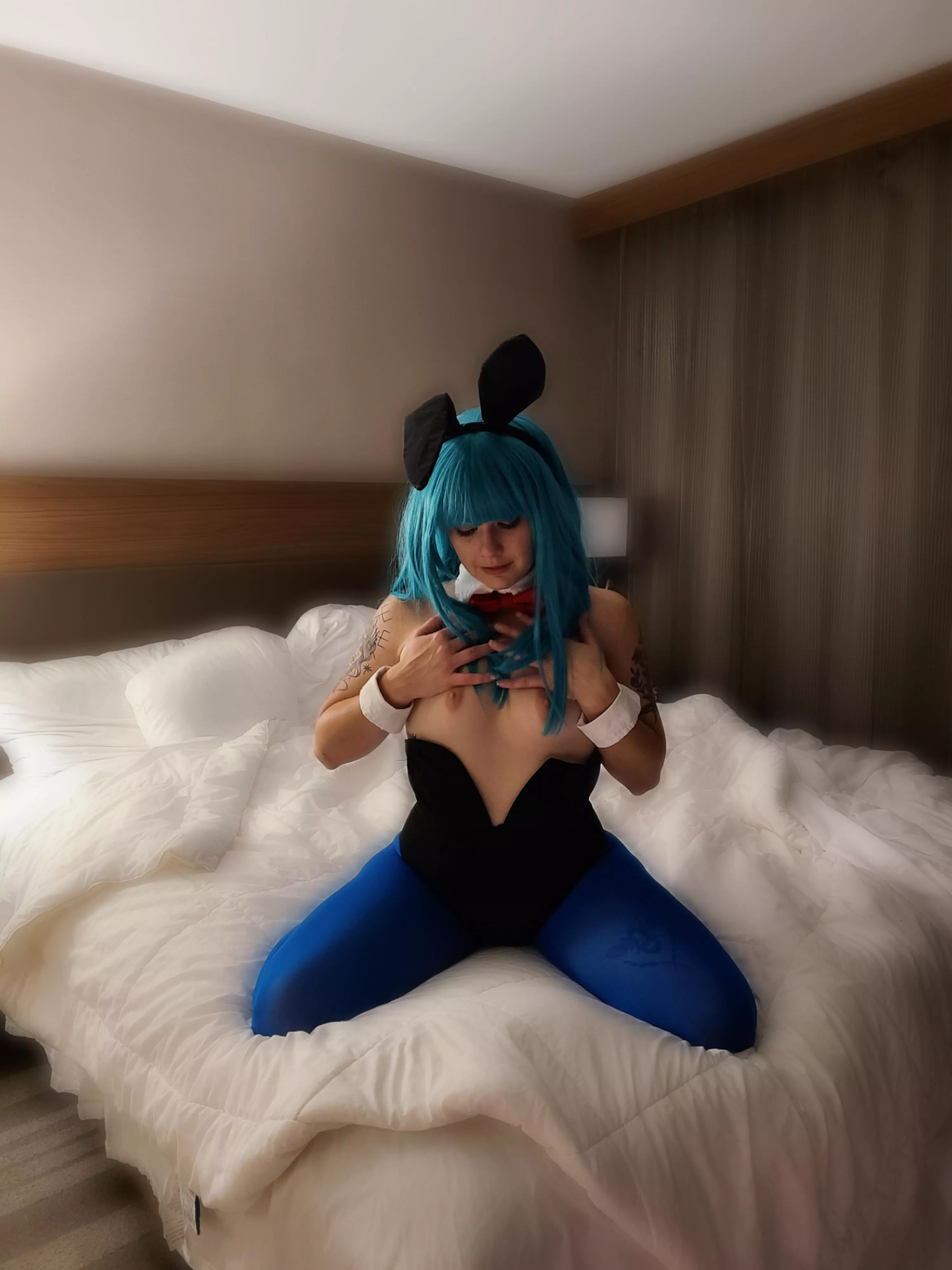 Bulma bunny ðŸ–¤