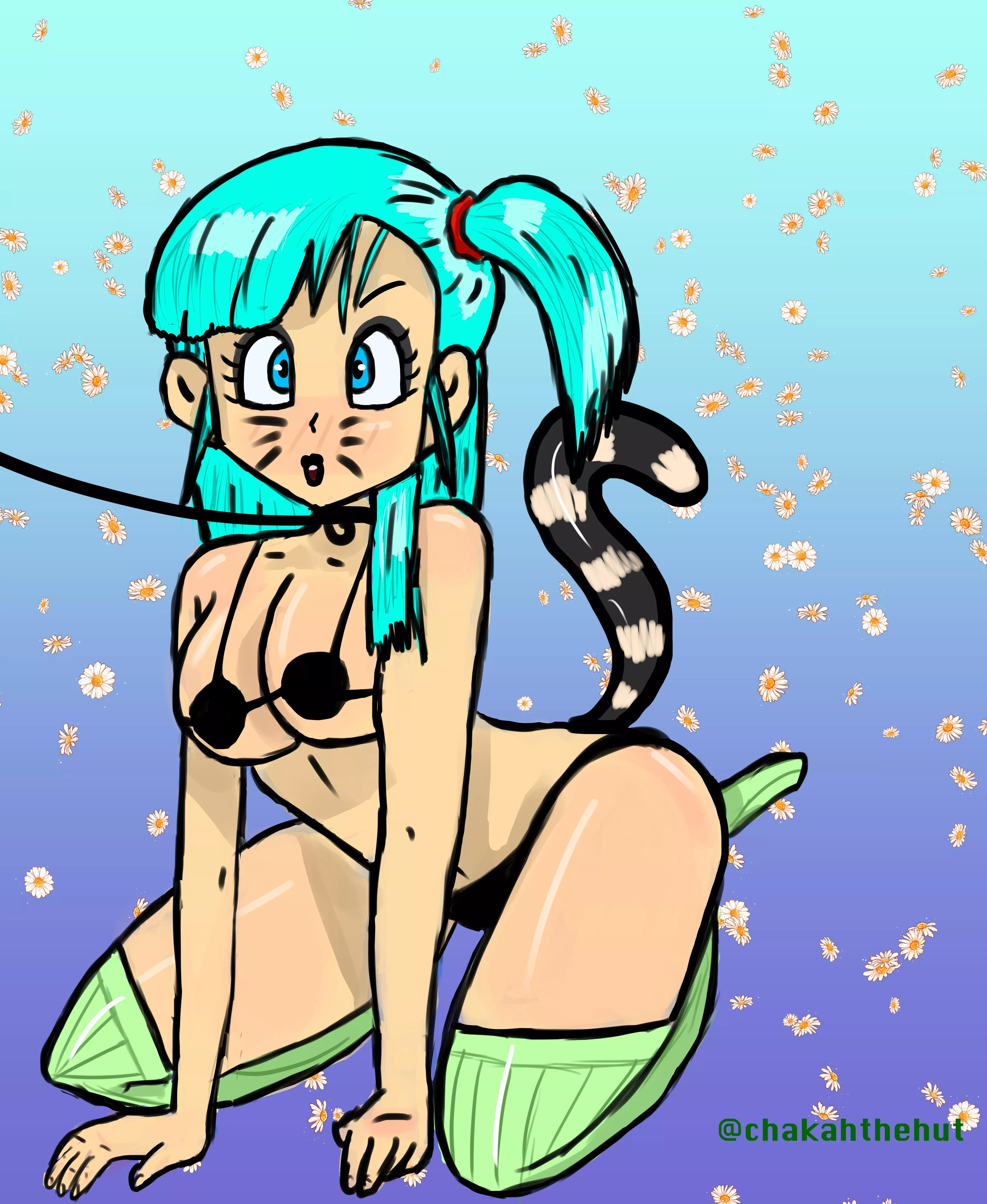 Bulma’s a good kitty