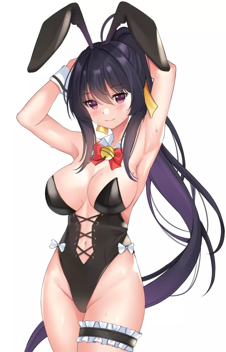 Bunny Akeno