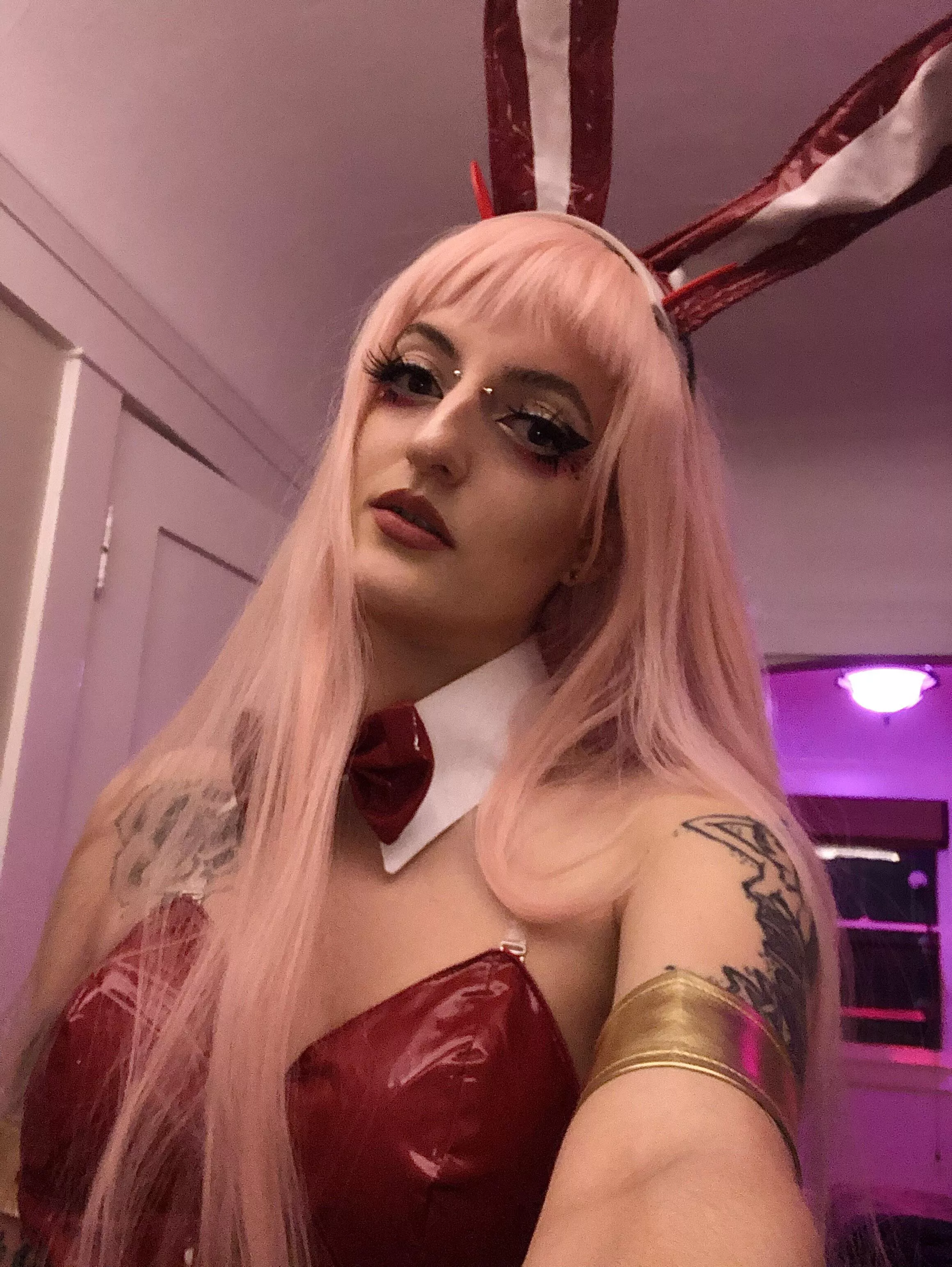 Bunny Zero Two 💋