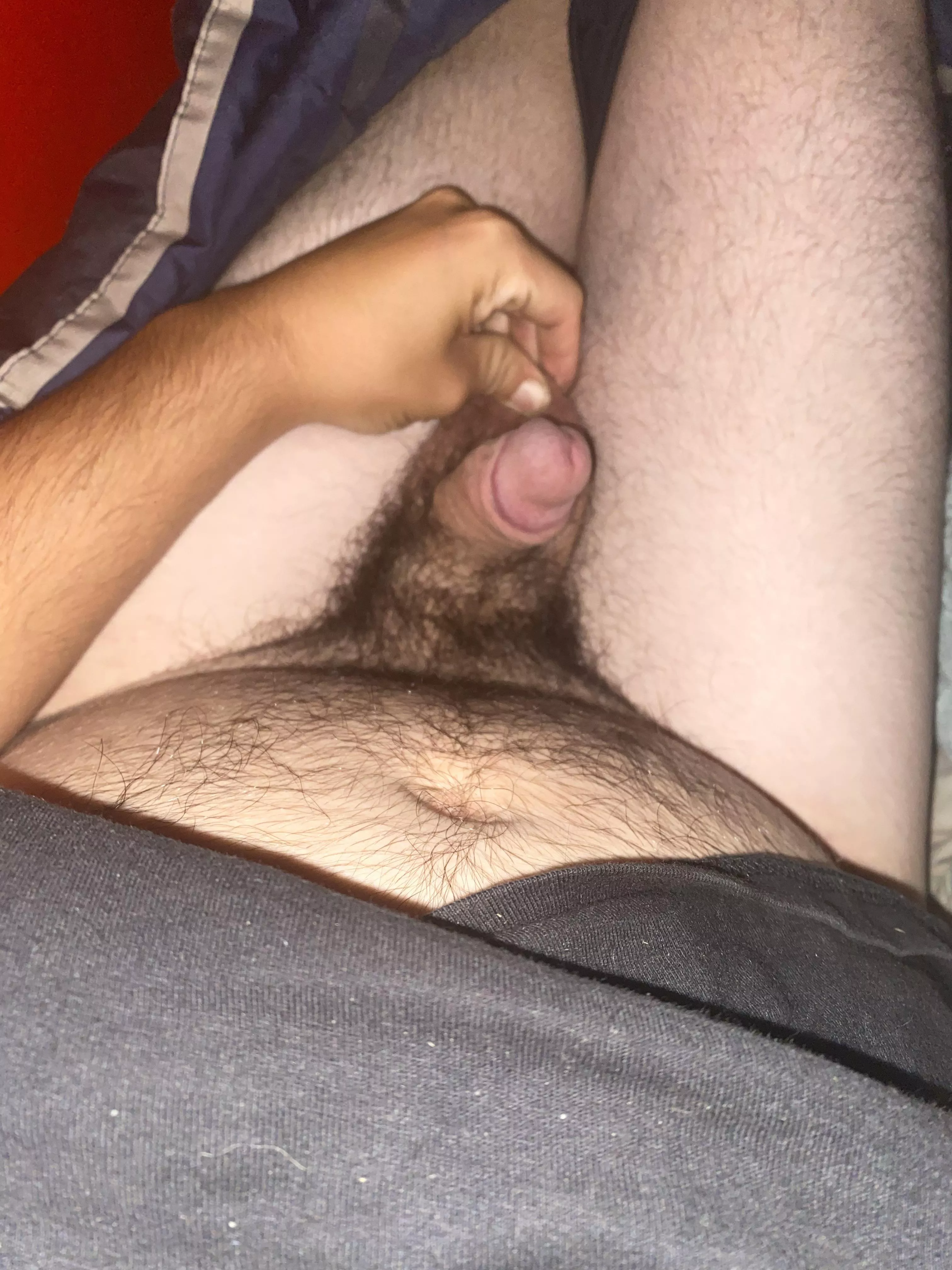 Bushy dick [24]