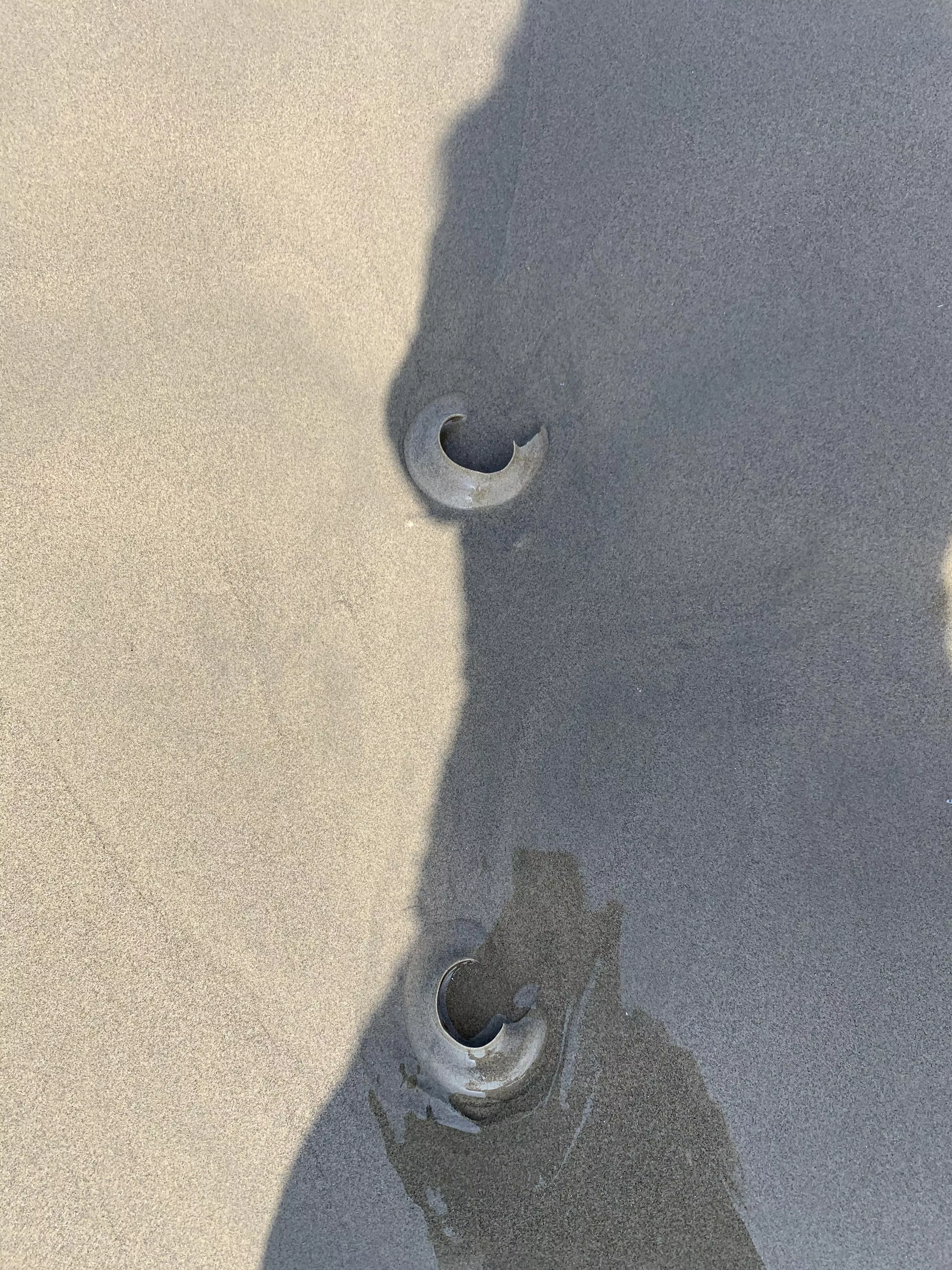 Can anyone ID these? I see them on the beach in numbers every now and then. I saw these last week in Venice Beach. They are clear and rubbery and I wondered if they are jellyfish fish parts?