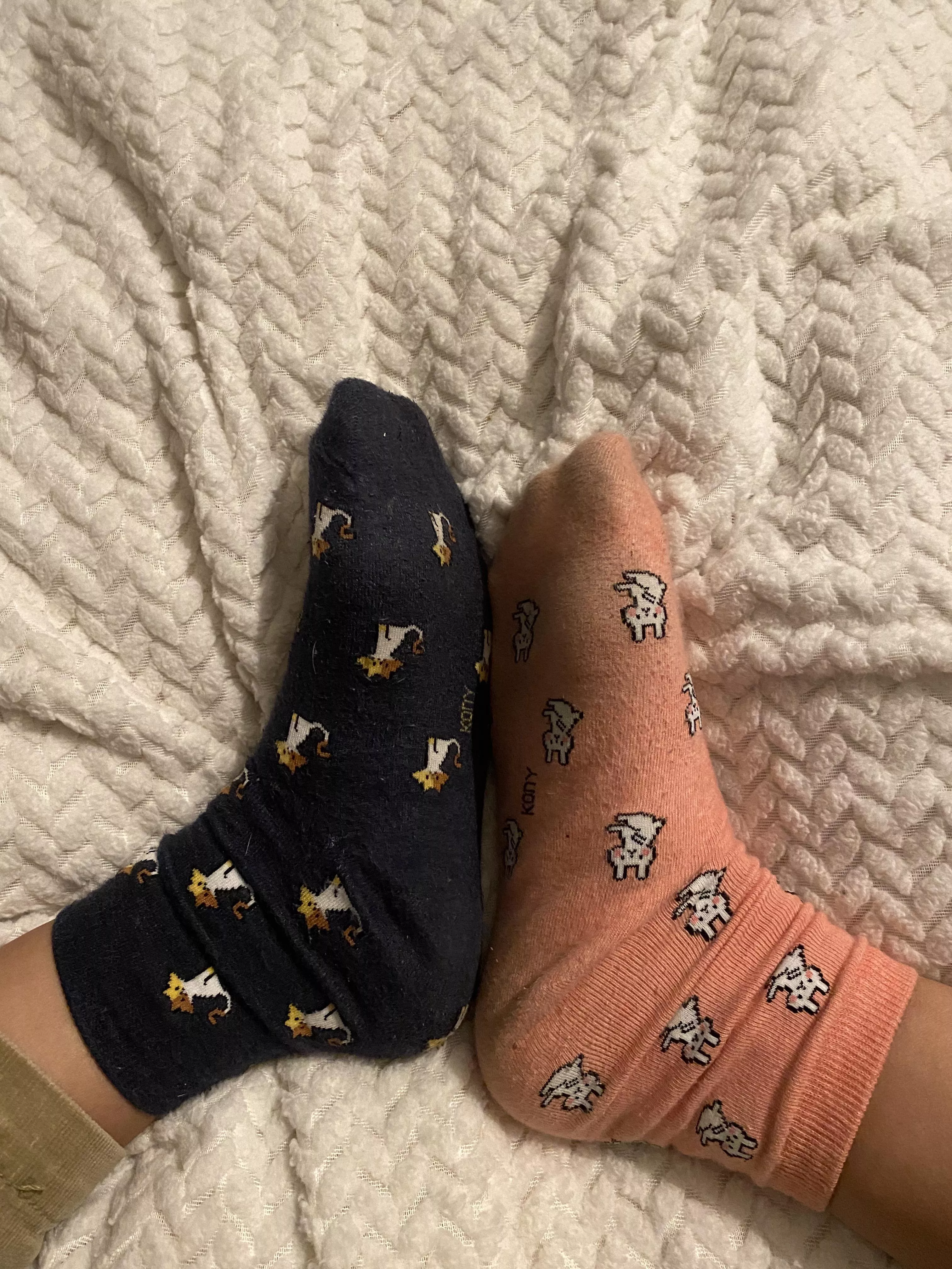 Canâ€™t find any matching socks :/ anyone wanna help