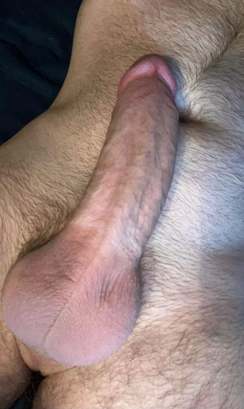 Can’t sleep. Have a dick pic.