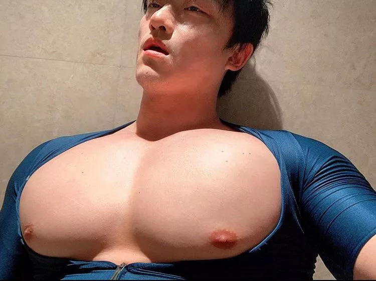 @captainyangpu