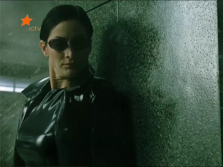 Carrie Anne Moss