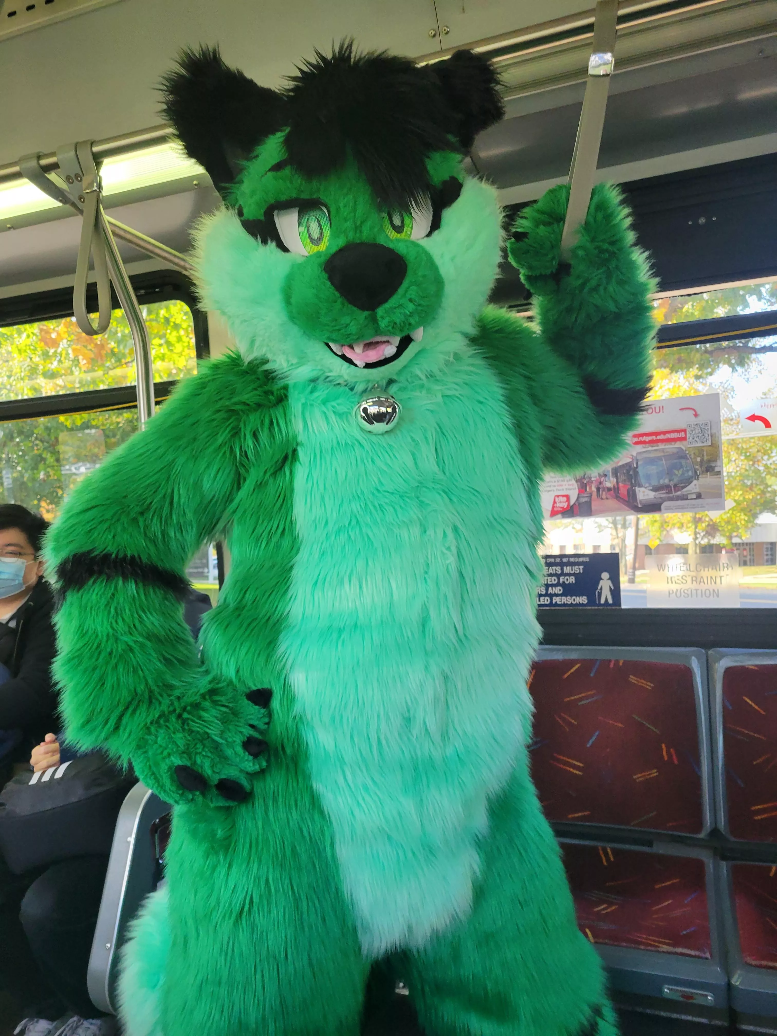 Cat on the Bus! Where he goin?