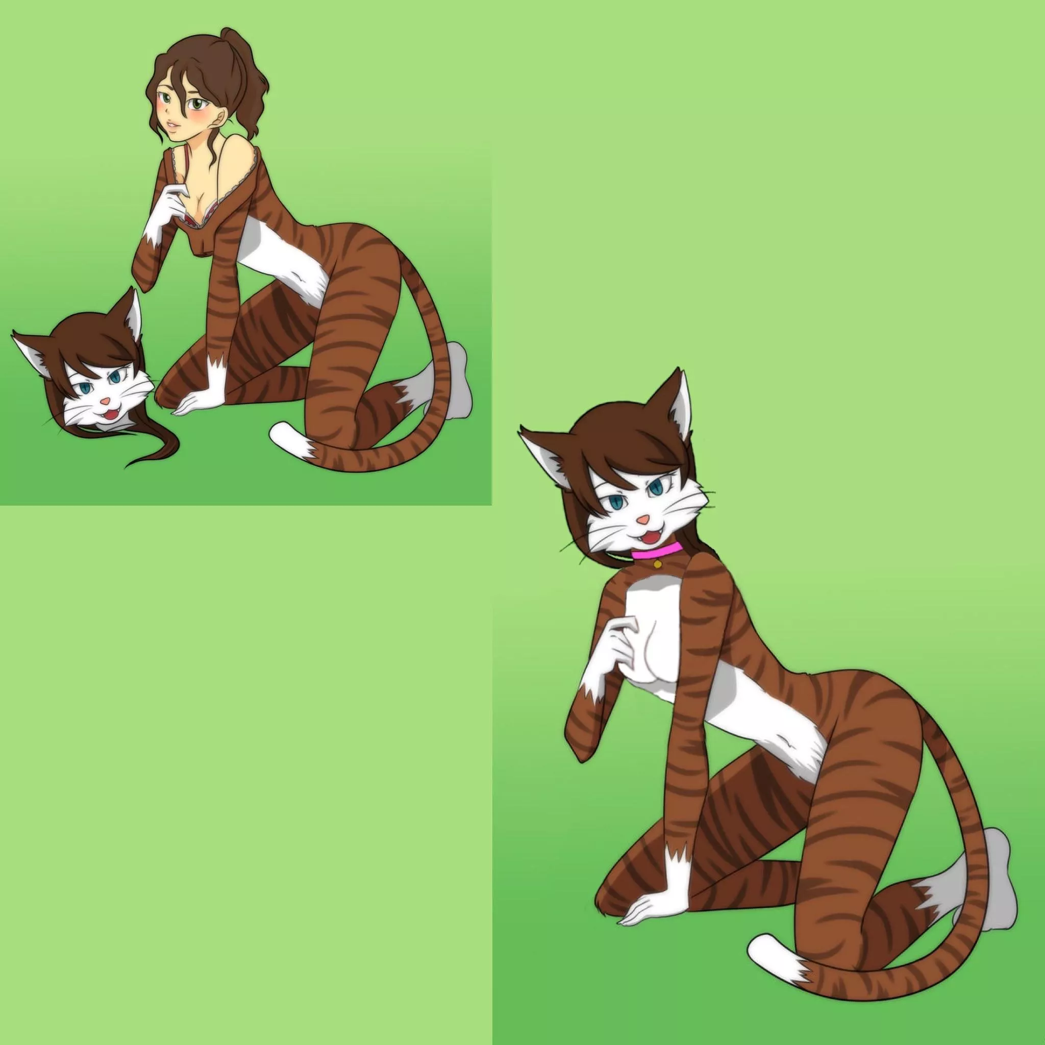 Caught kitty (F-Human -> F-Anthro Cat, before and after) original (left) by Bobstickles; right image retouched by me