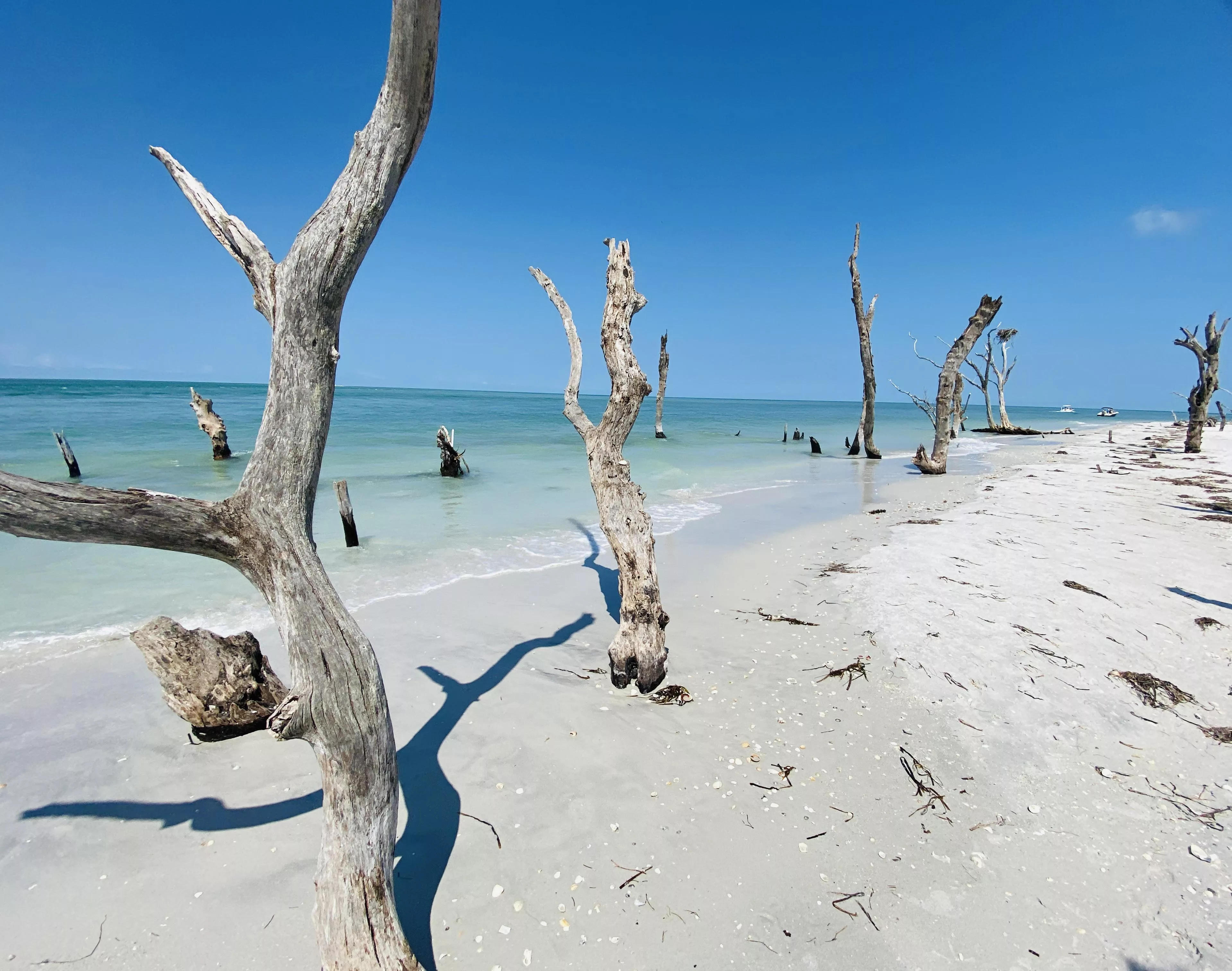 Cayo Costa, FL