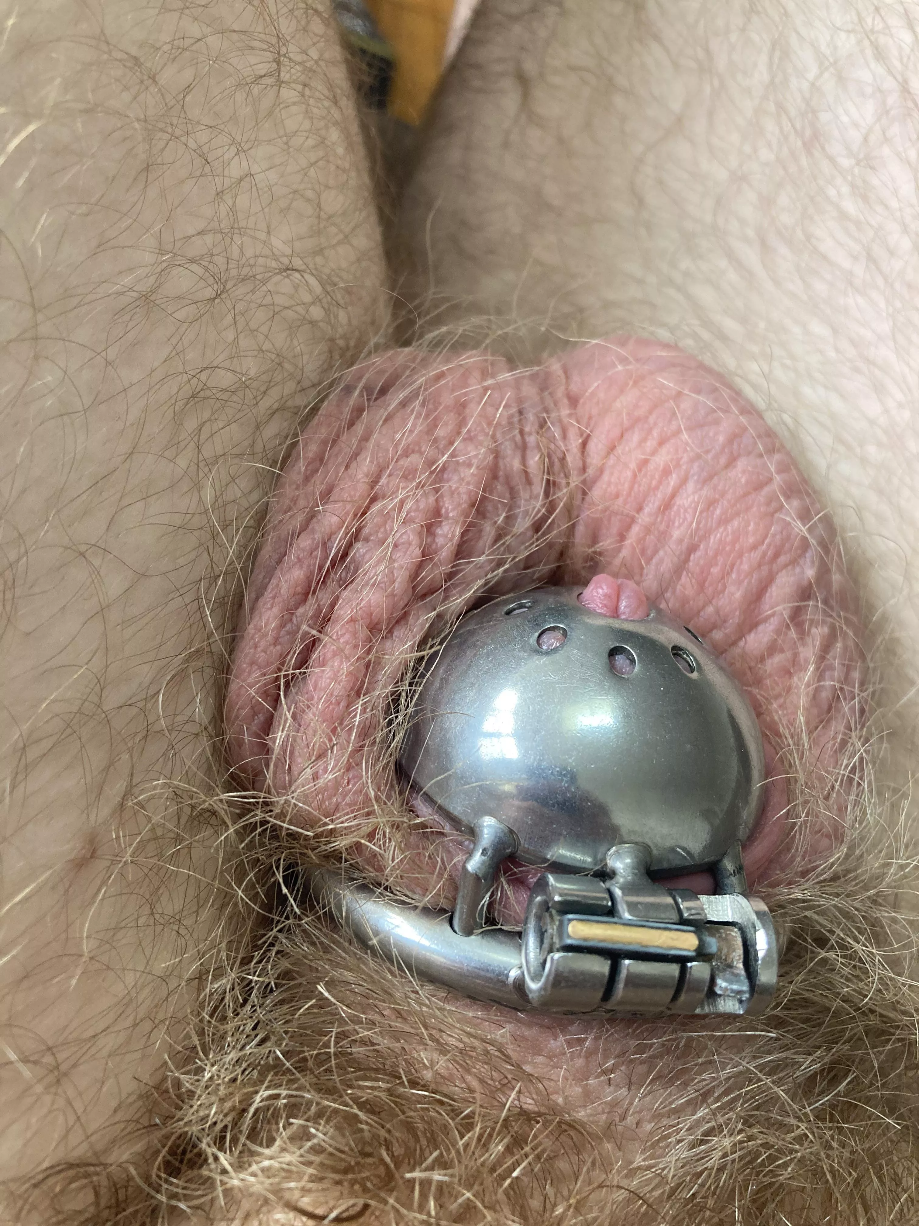 Chastity cage rusted shut plz help