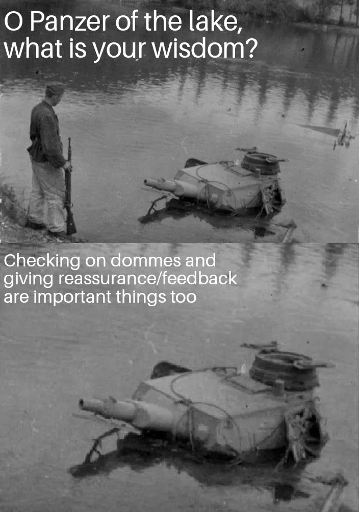 Check on your domme, tell her you feel safe around her or that you're enjoying time spent with her. Dommes are human too, they need care too. Don't forget about them.