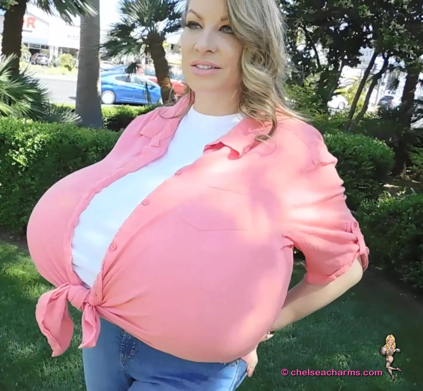 Chelsea Charms