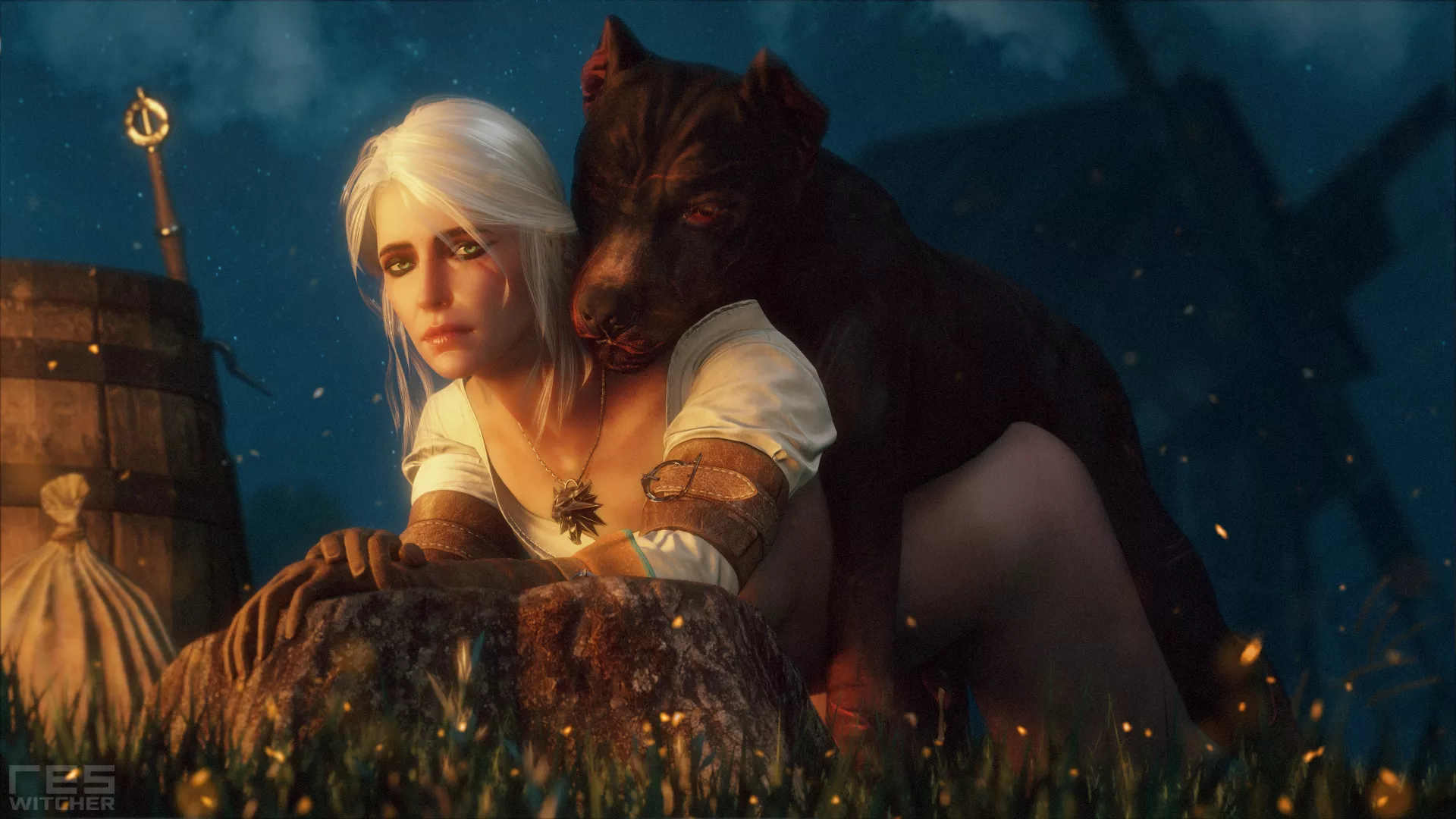 Ciri felt lonely [Witcher] (ResWitcher)