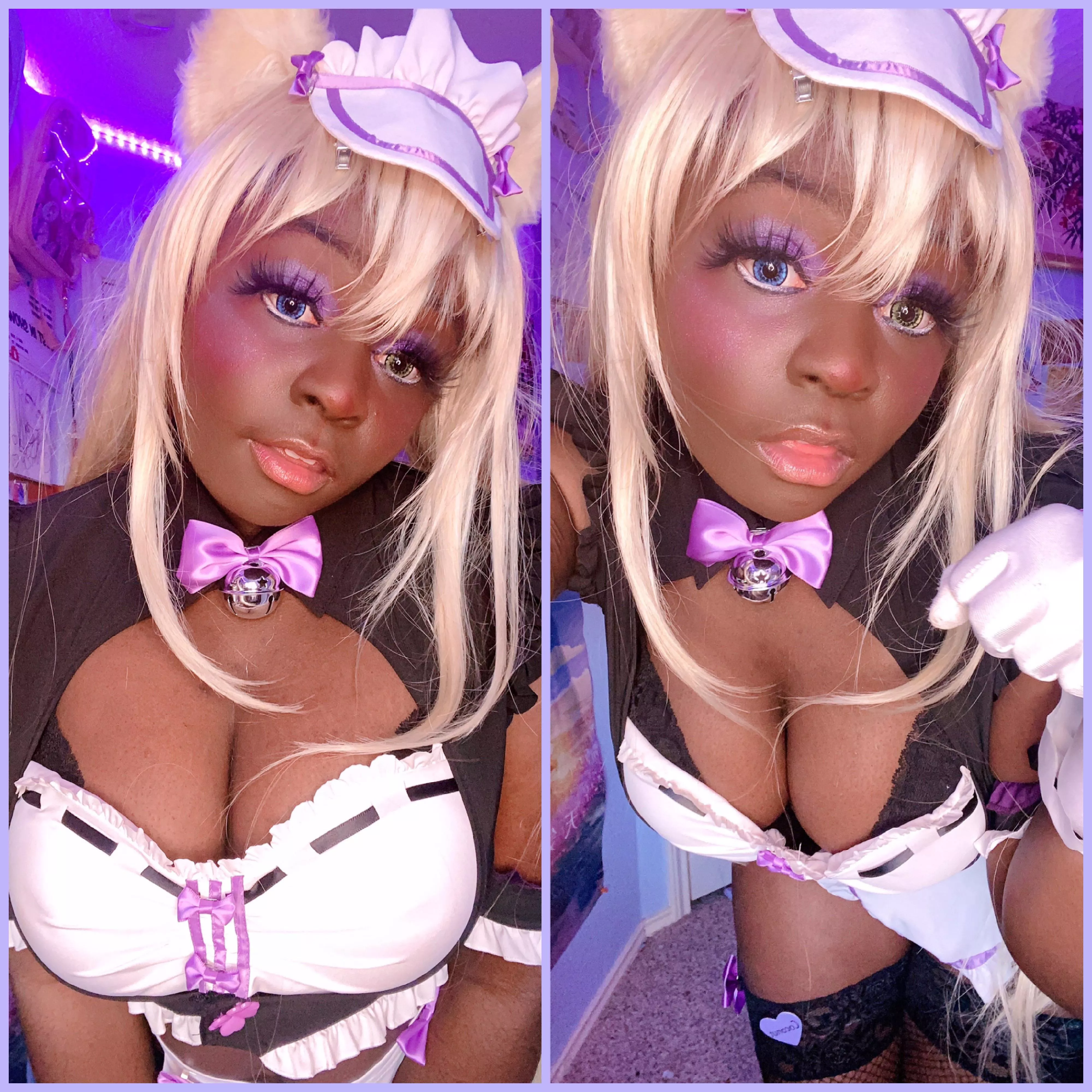 Coconut from Nekopara~