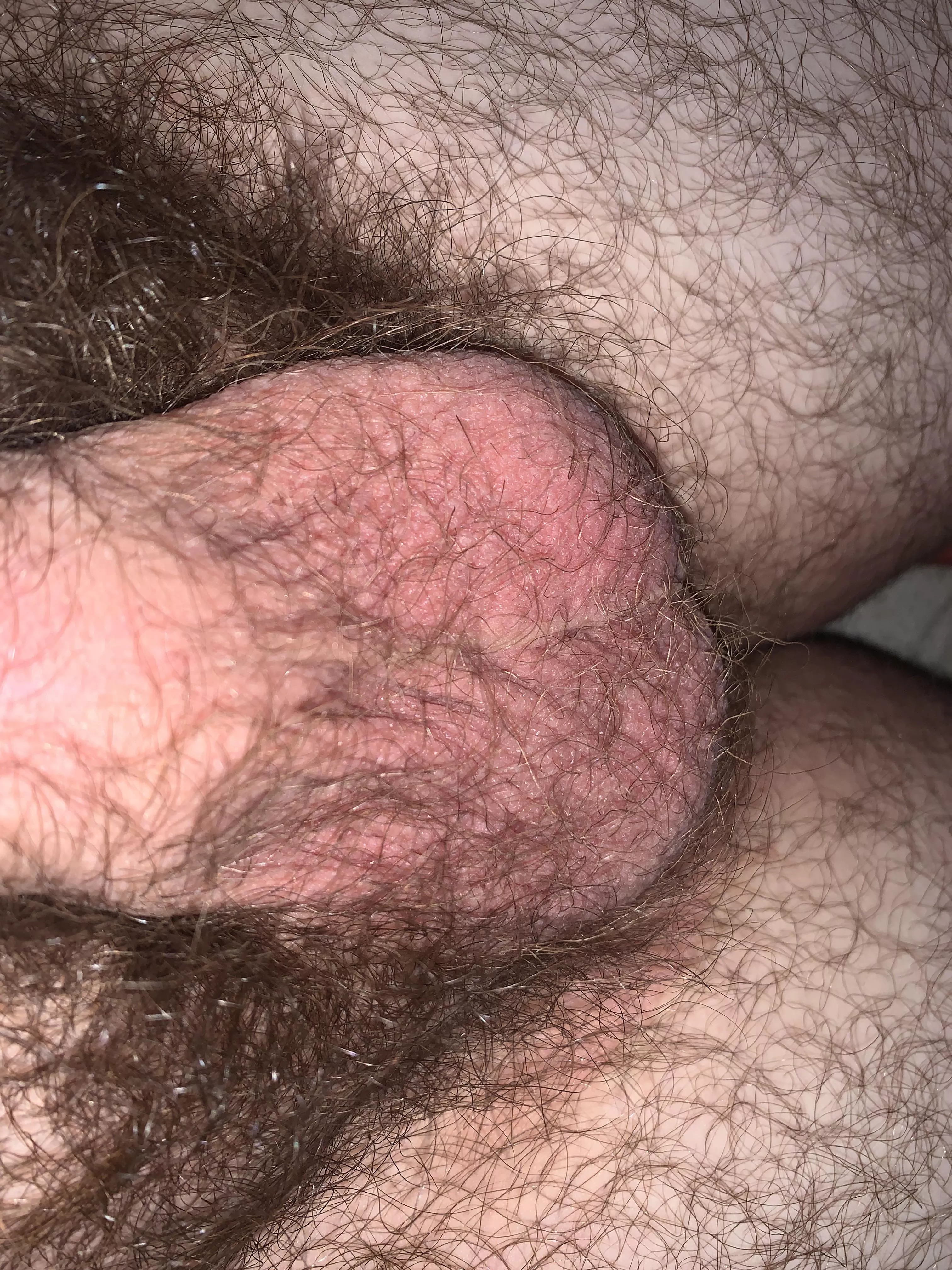 Come Suck My Balls