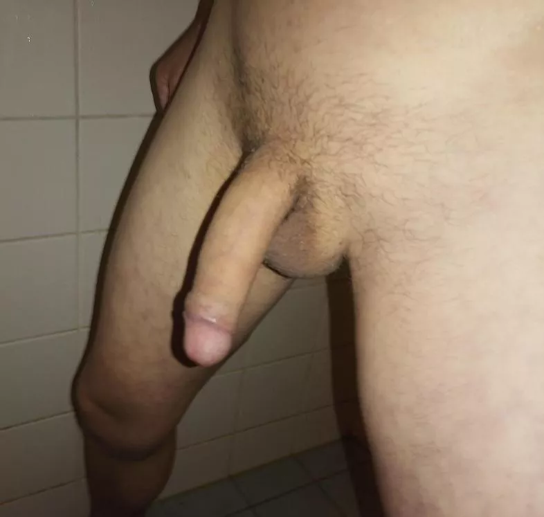 Completely flaccid 22yr dick, full erection 19cm