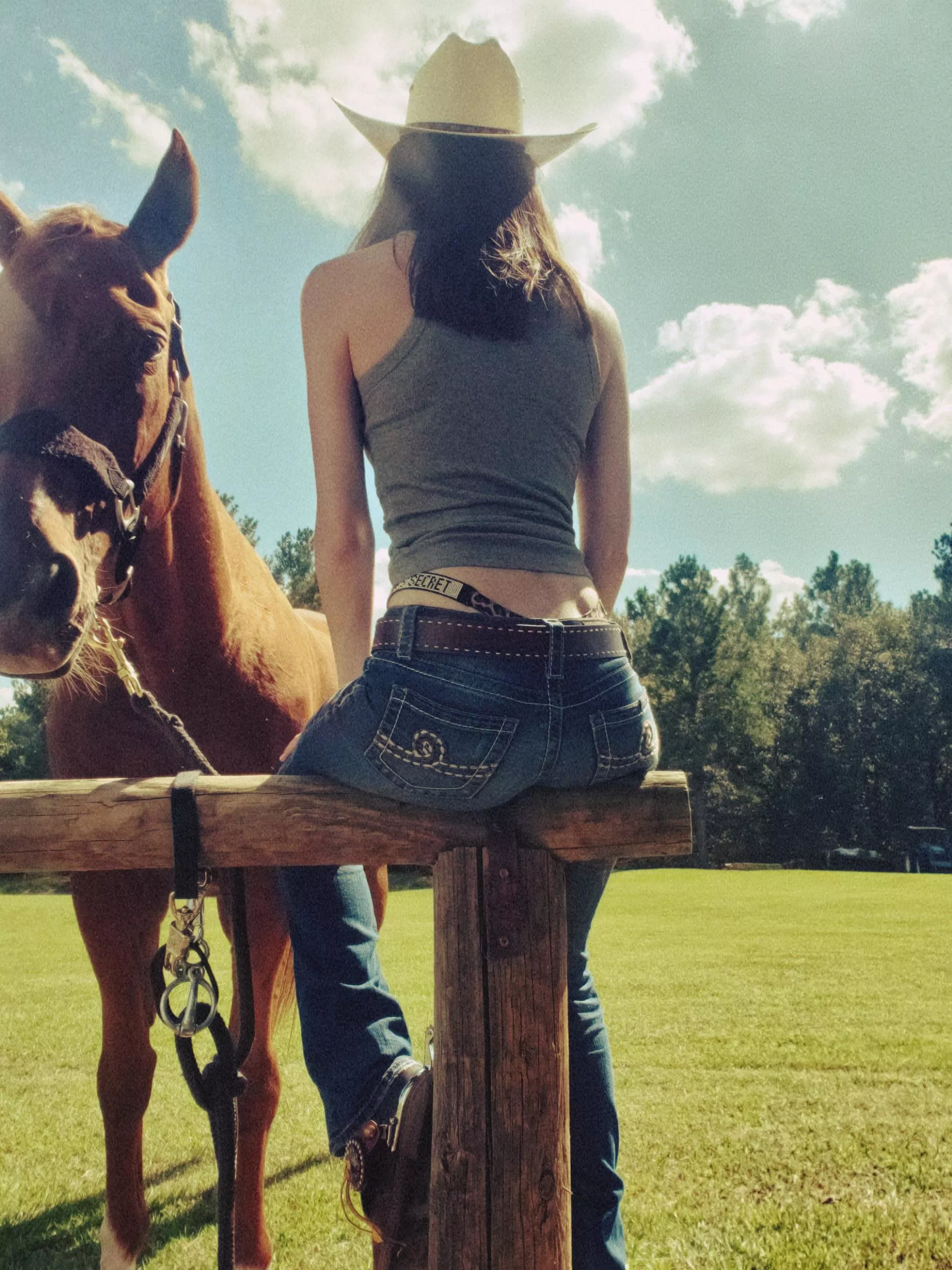 Cowgirl view