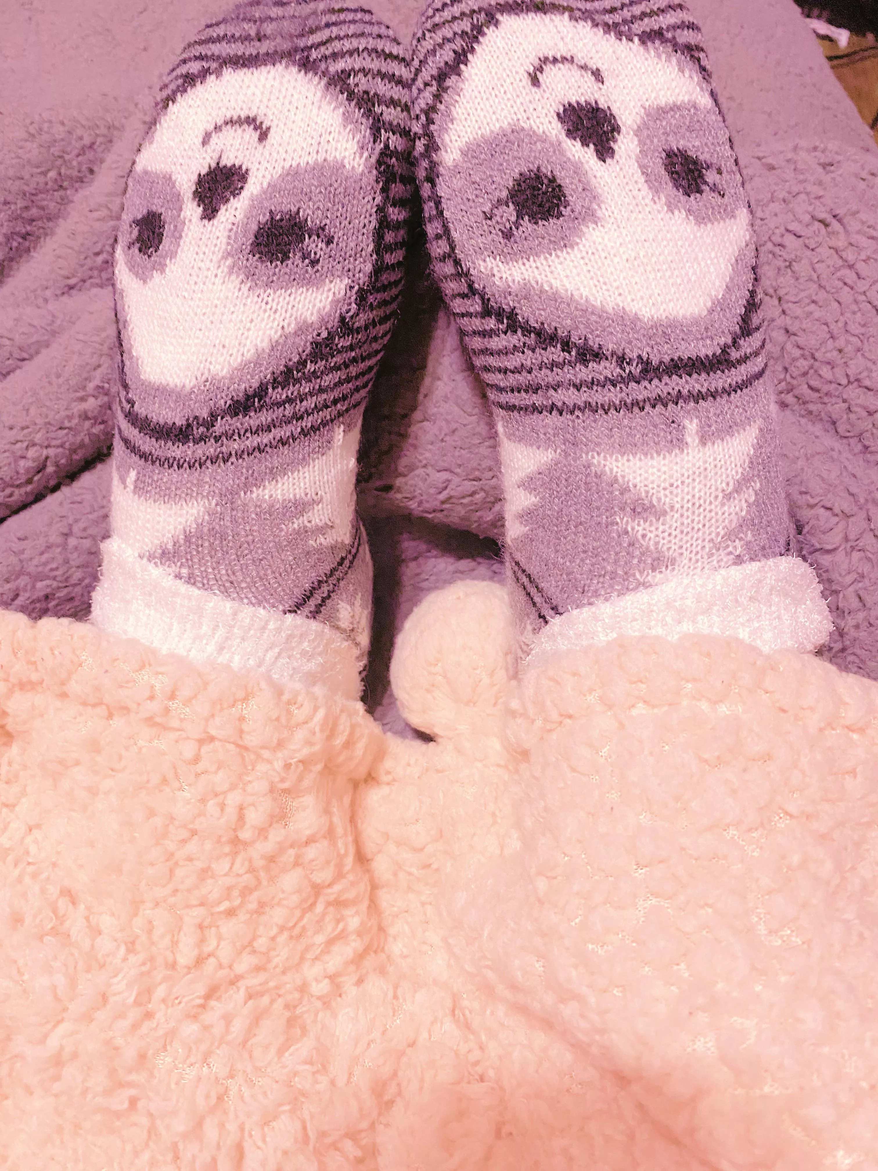 Cozy little sloth socksðŸ¥°ðŸ¦¥