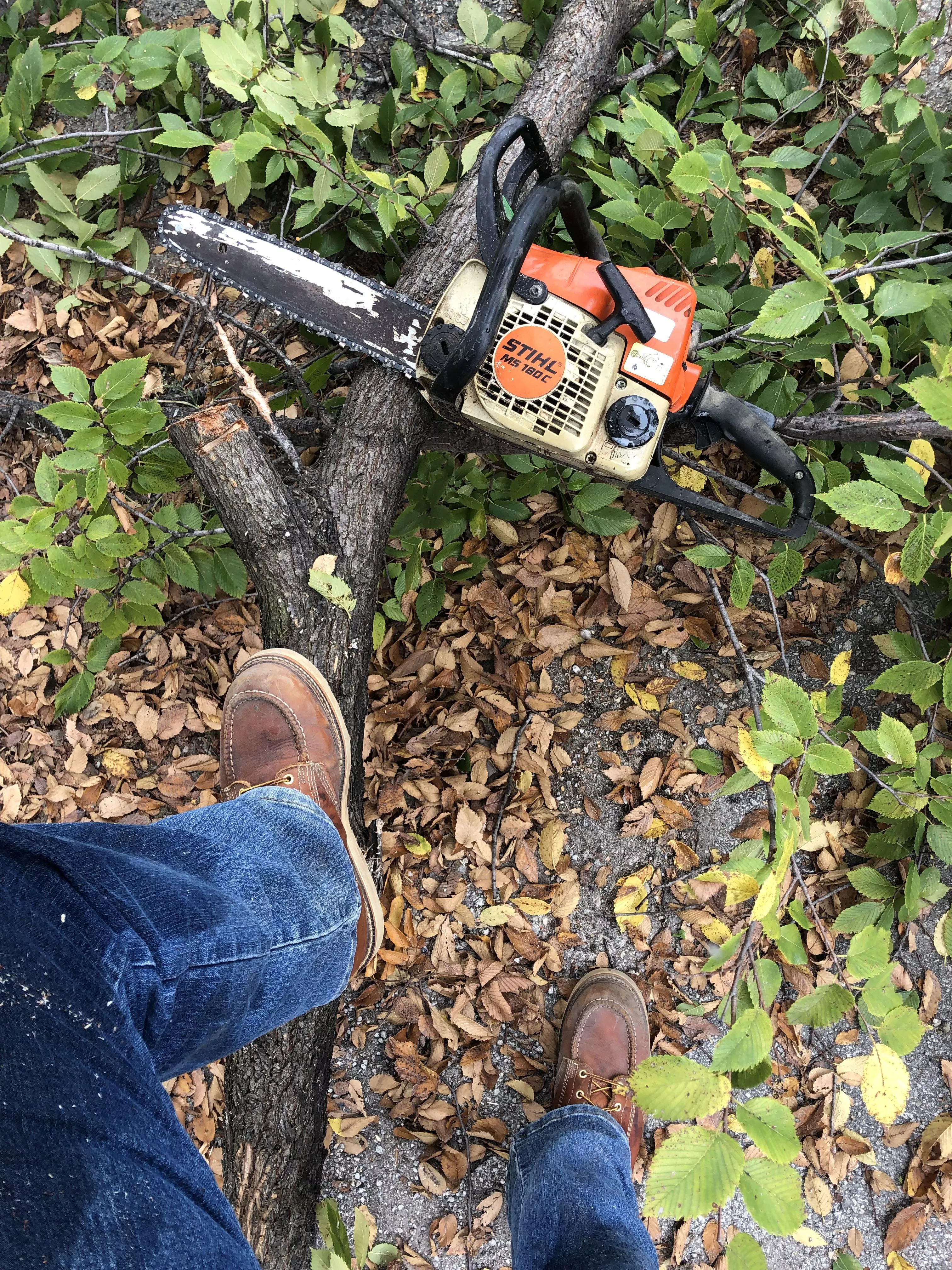 Cut down some tree limbs for a client. Thorogoodâ€™s and Stihl are always up to the task.