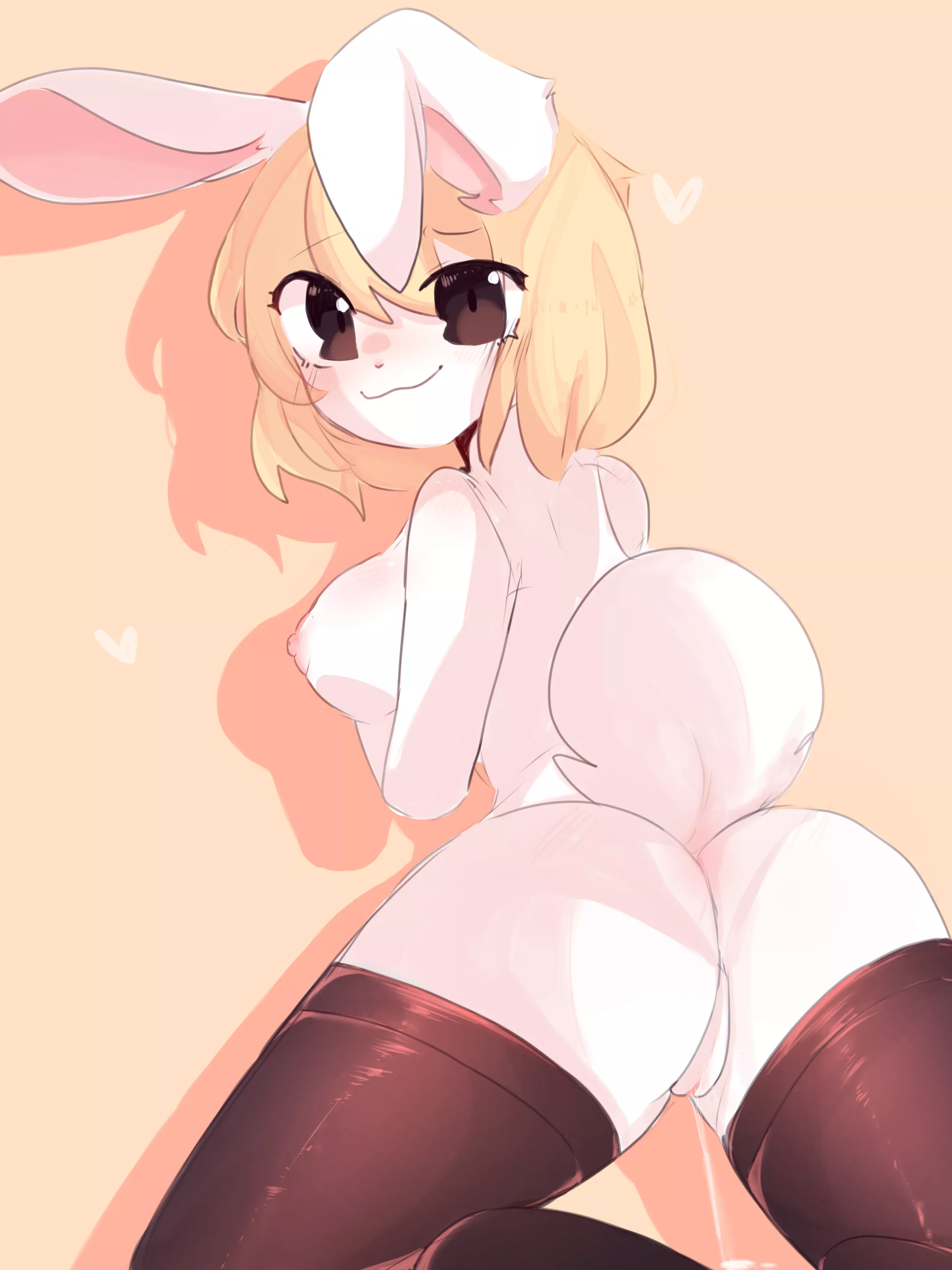 Cute bun