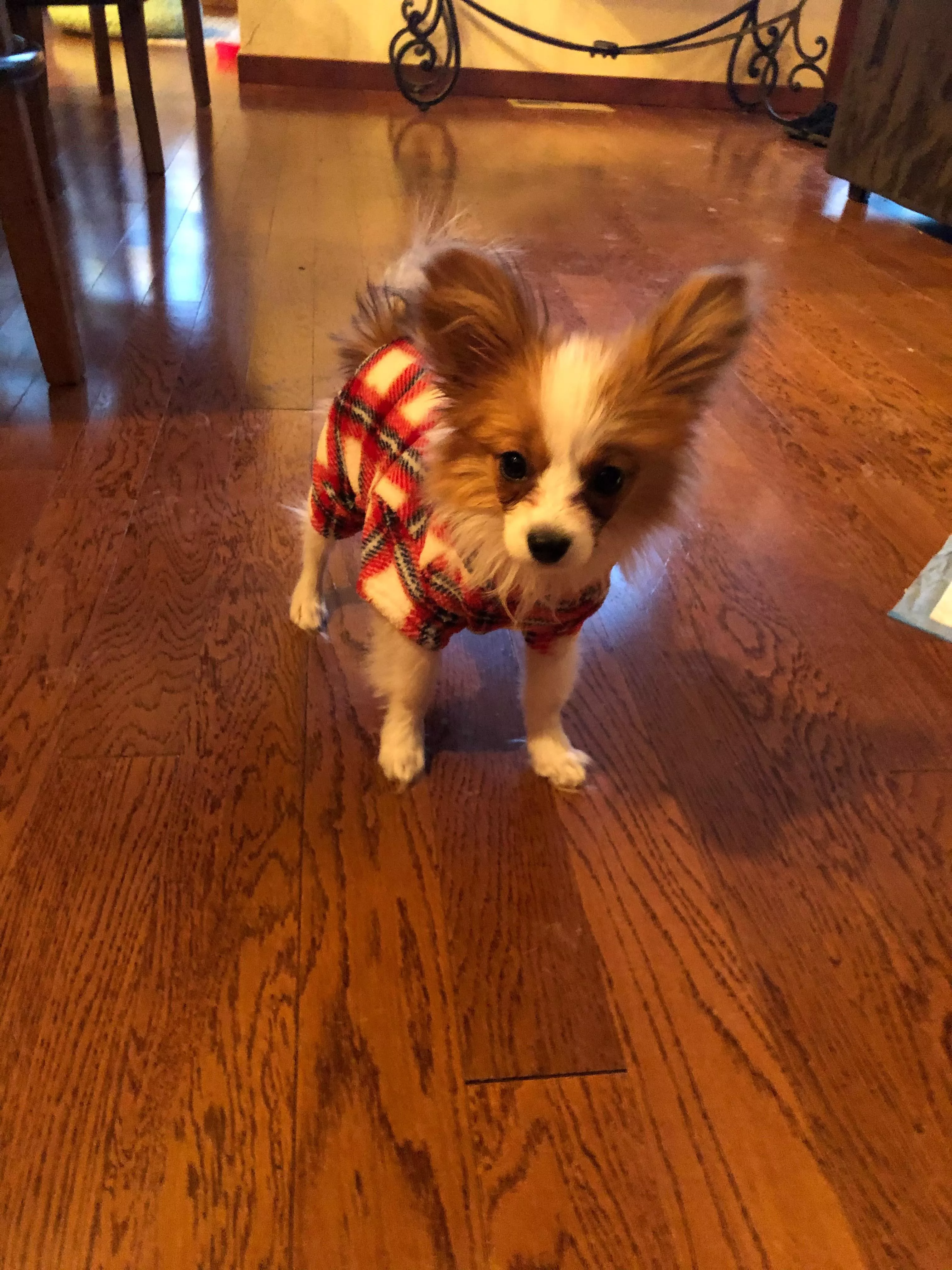 Cutie in pjs