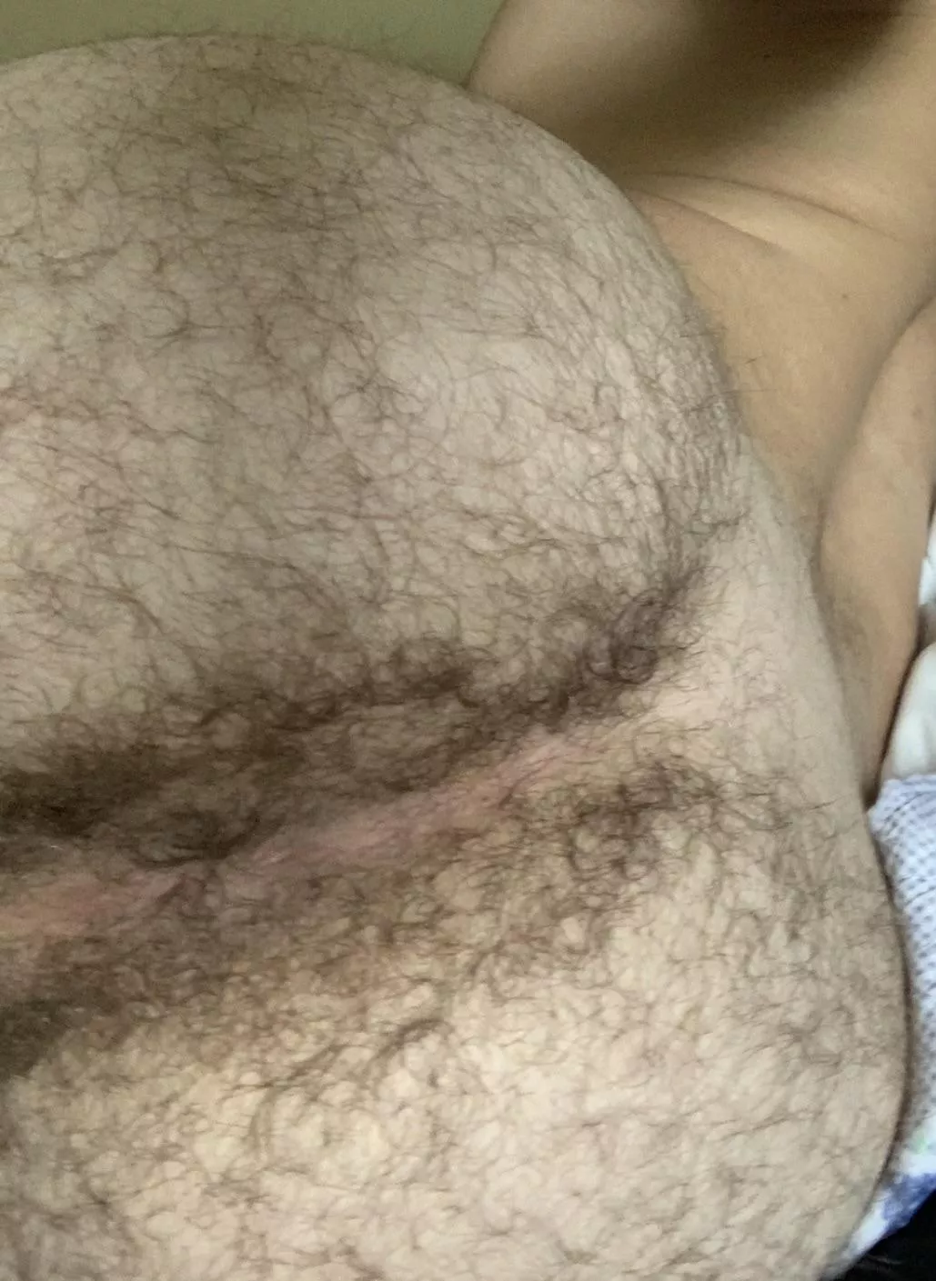 Daddy told me to post my hairy bubble. What do you boys think? Fuckable??