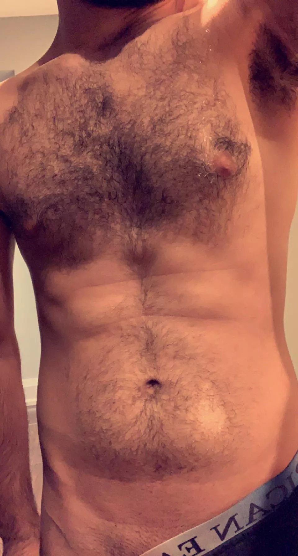 Dark chest fur