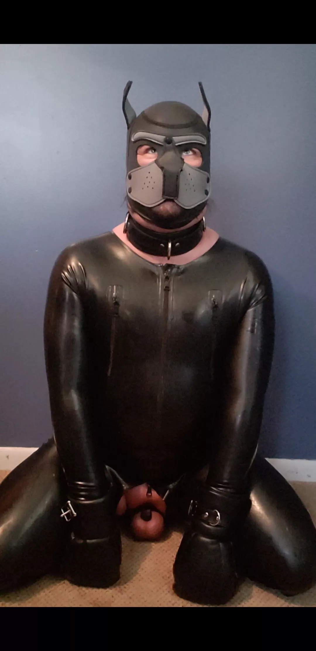 Daydreaming of being a locked, collared, and owned pup...