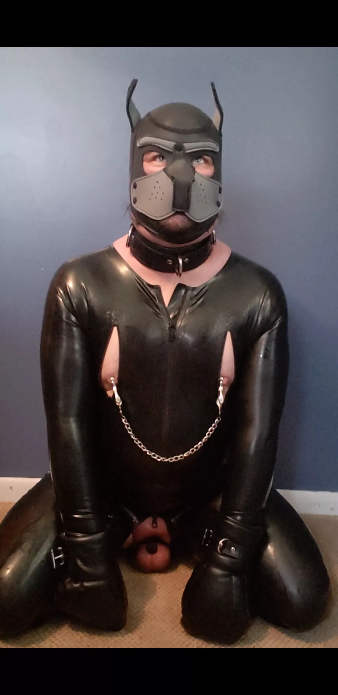 Daydreaming of being a locked, collared, and owned pup...