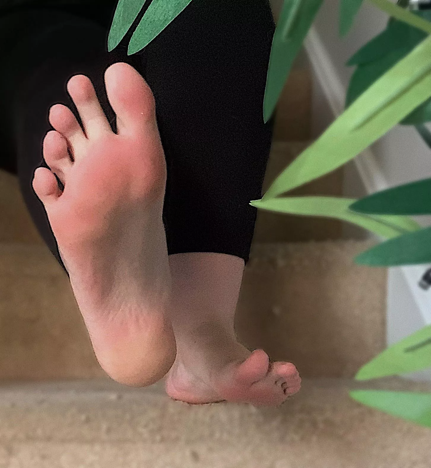 Describe my feet using only one word ðŸ¥°