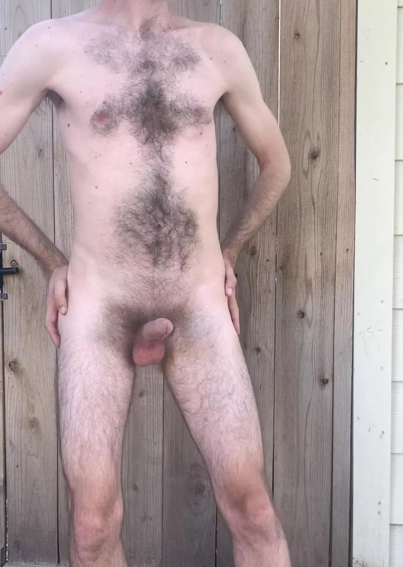 Dick and chest forest