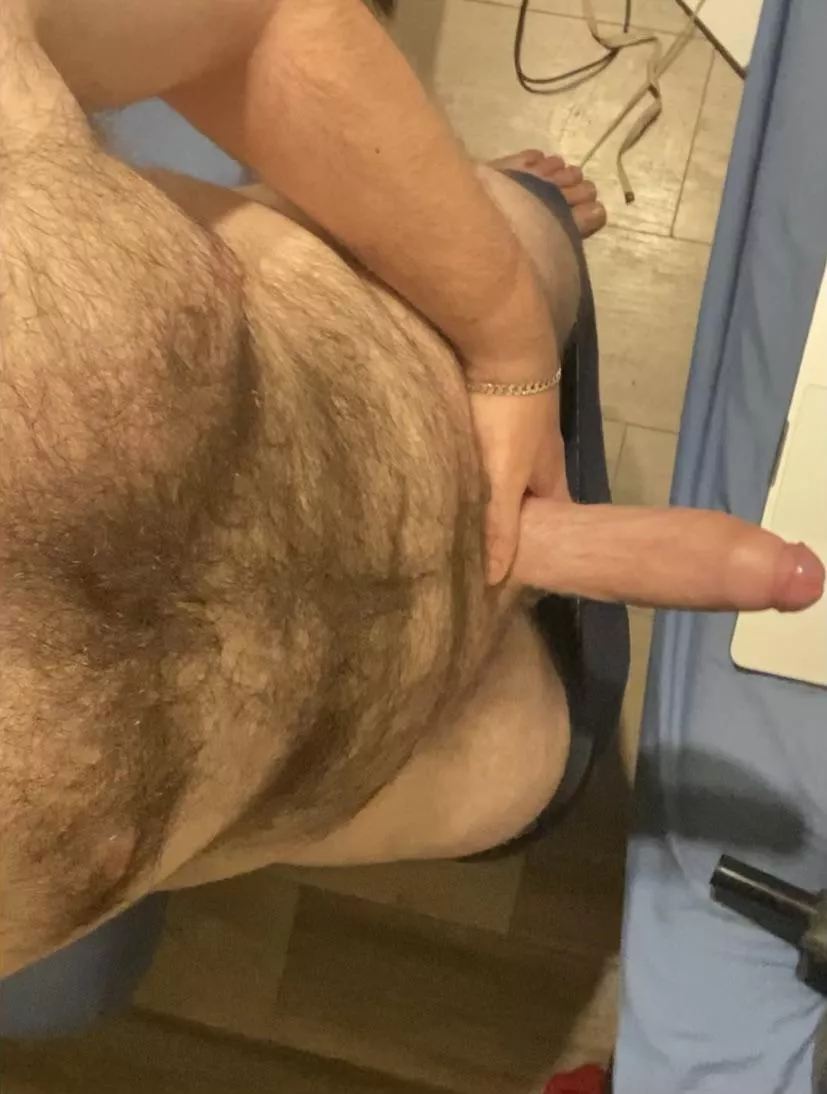 Dictionary definition of Hung and Hairy