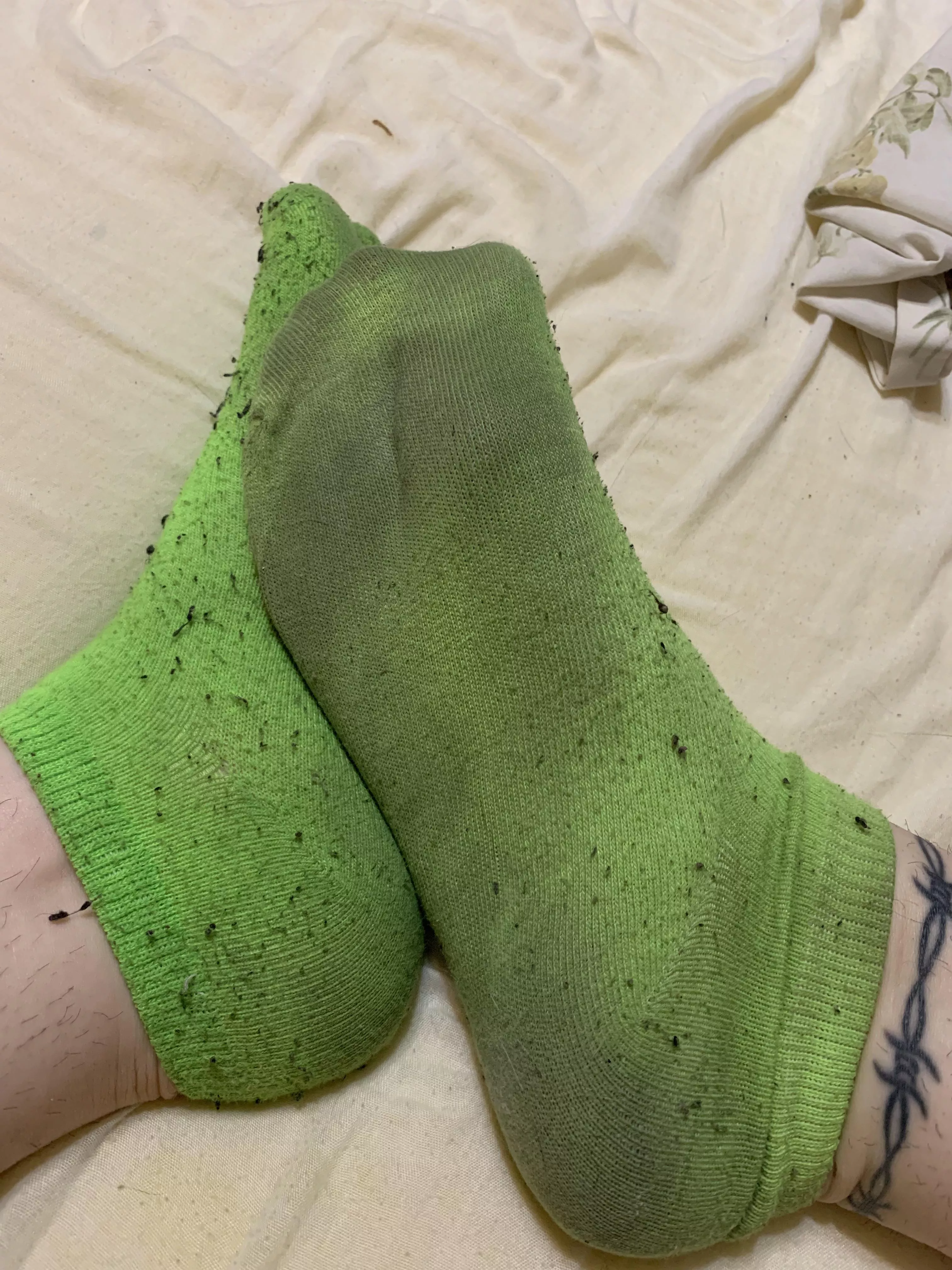 dirty green ankle socks