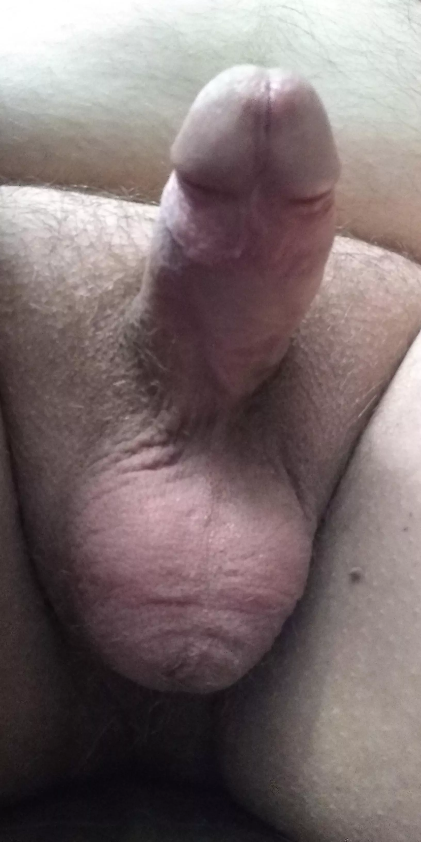 Do you like? [50]