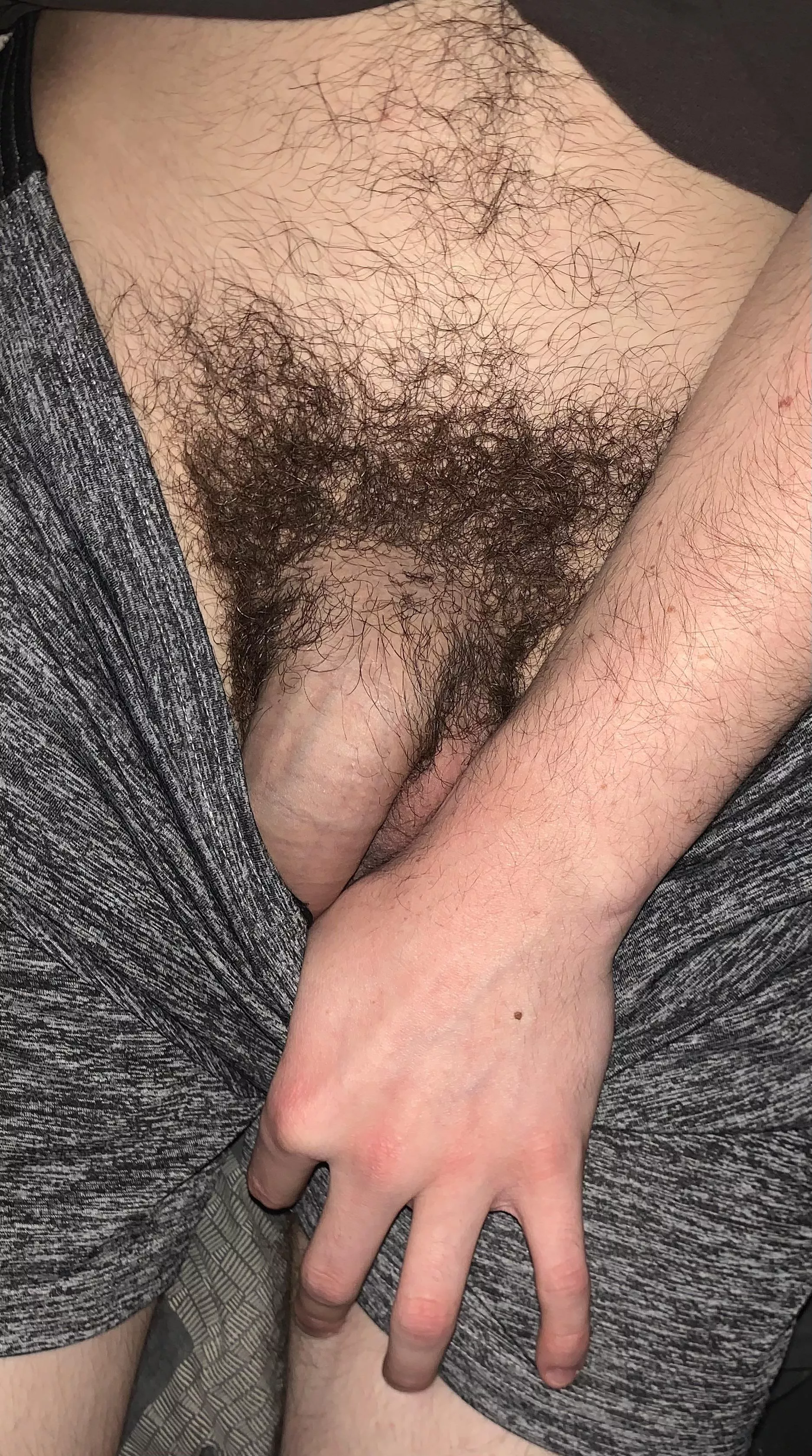 Do you like hairy cock